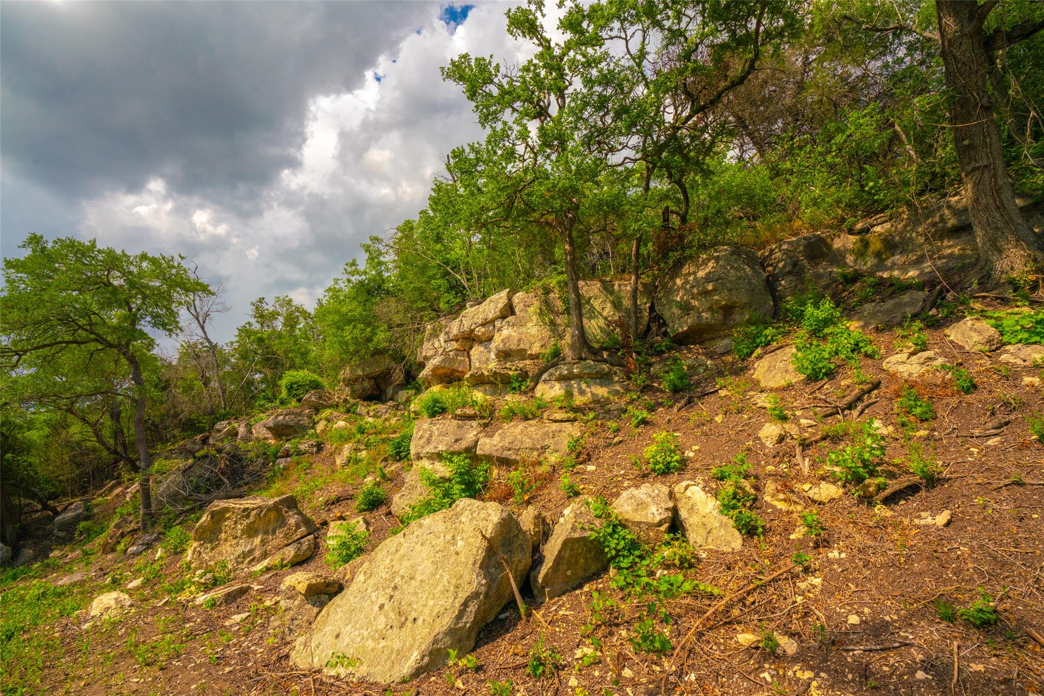 000 Spring Creek Ranch, Dripping Springs, TX 78676