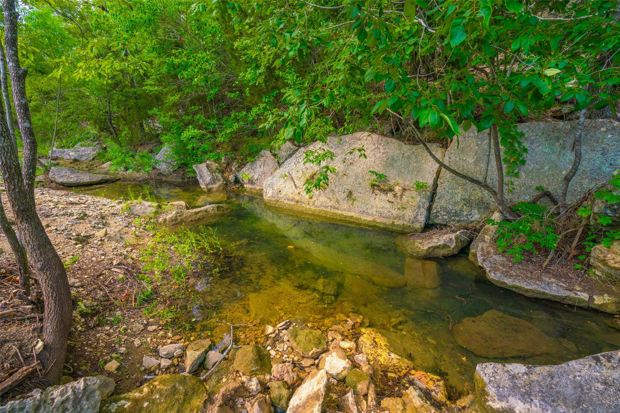 000 Spring Creek Ranch, Dripping Springs, TX 78676