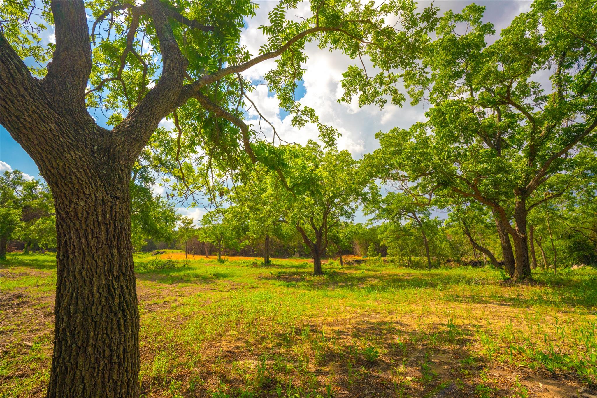 000 Spring Creek Ranch, Dripping Springs, TX 78676