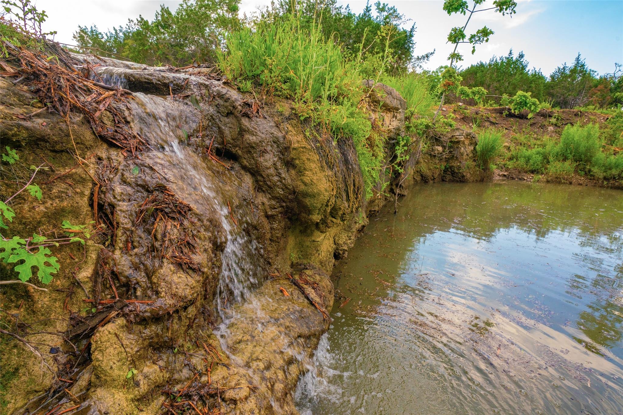 000 Spring Creek Ranch, Dripping Springs, TX 78676