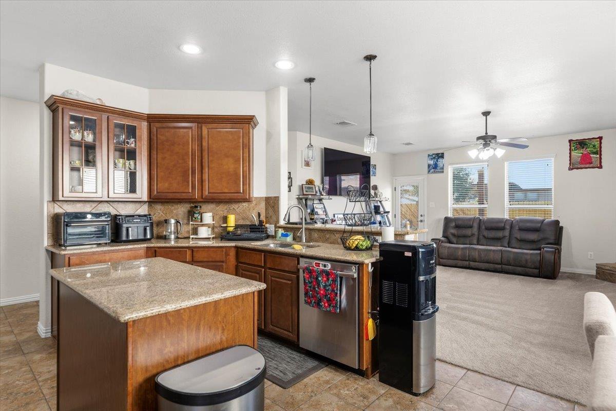 117 E Emory Fields Dr, Hutto, TX 78634