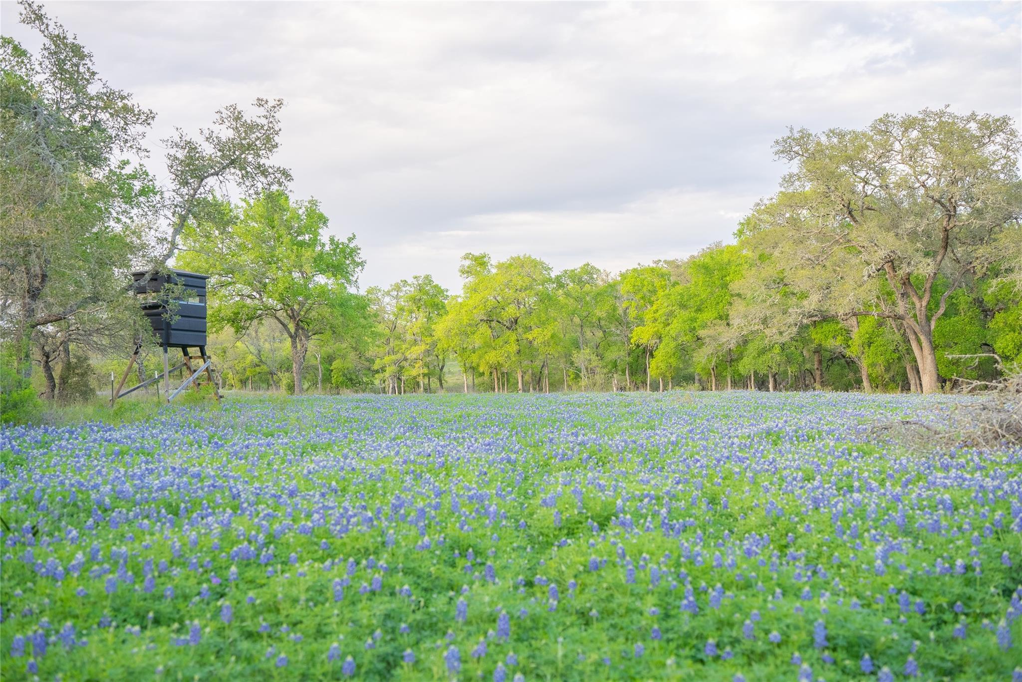 2810 Bridlewood Ranches Dr, San Marcos, TX 78666