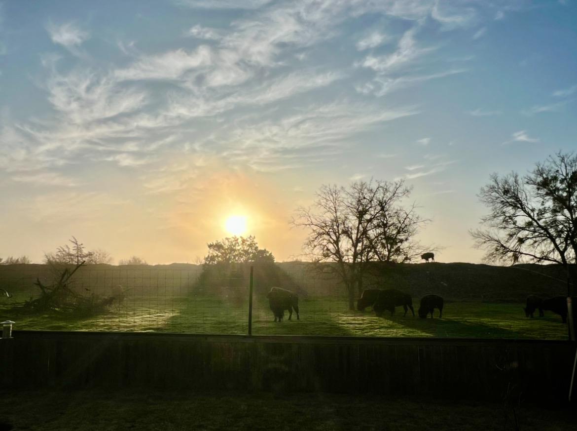 11305 Sentinel Dr, Austin, TX 78747