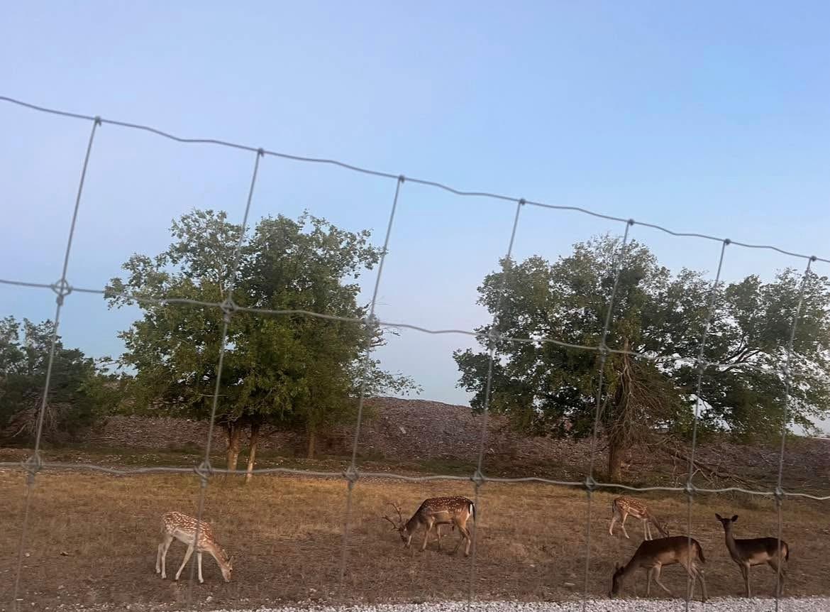 11305 Sentinel Dr, Austin, TX 78747