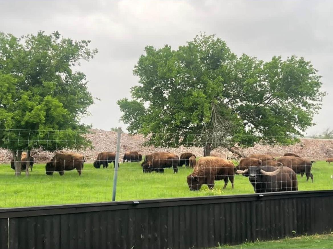 11305 Sentinel Dr, Austin, TX 78747