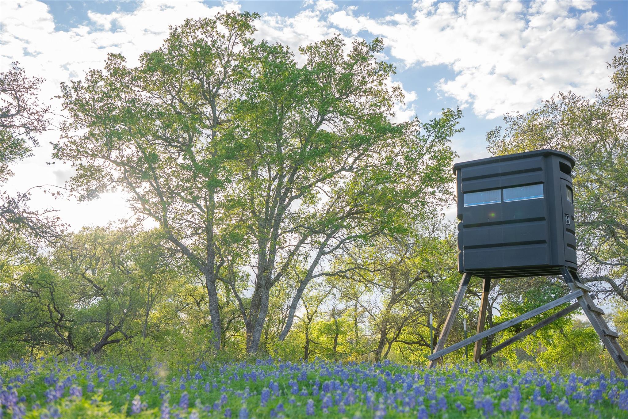 2810 Bridlewood Ranches Dr, San Marcos, TX 78666