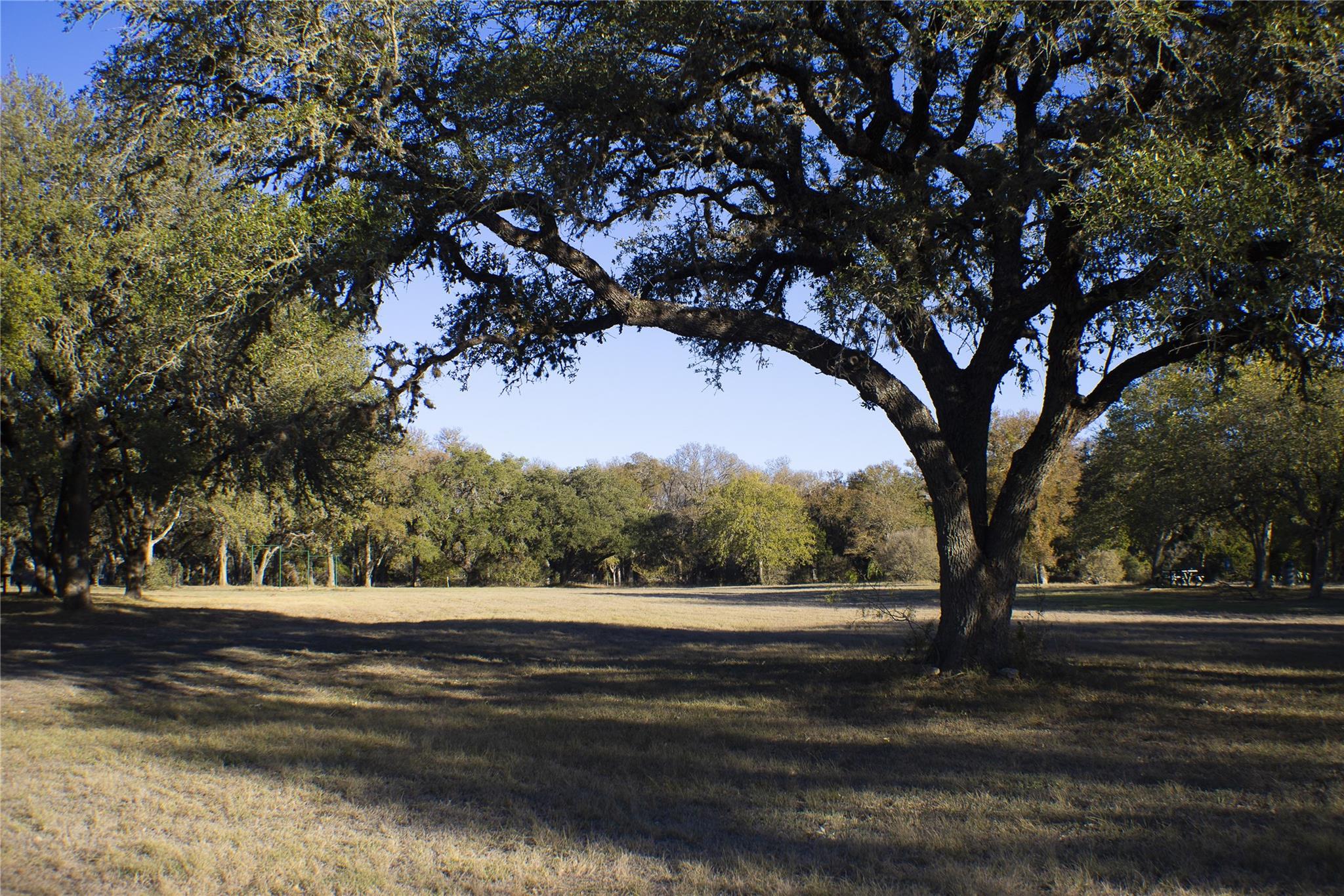 207 Calle Largo, Kyle, TX 78640