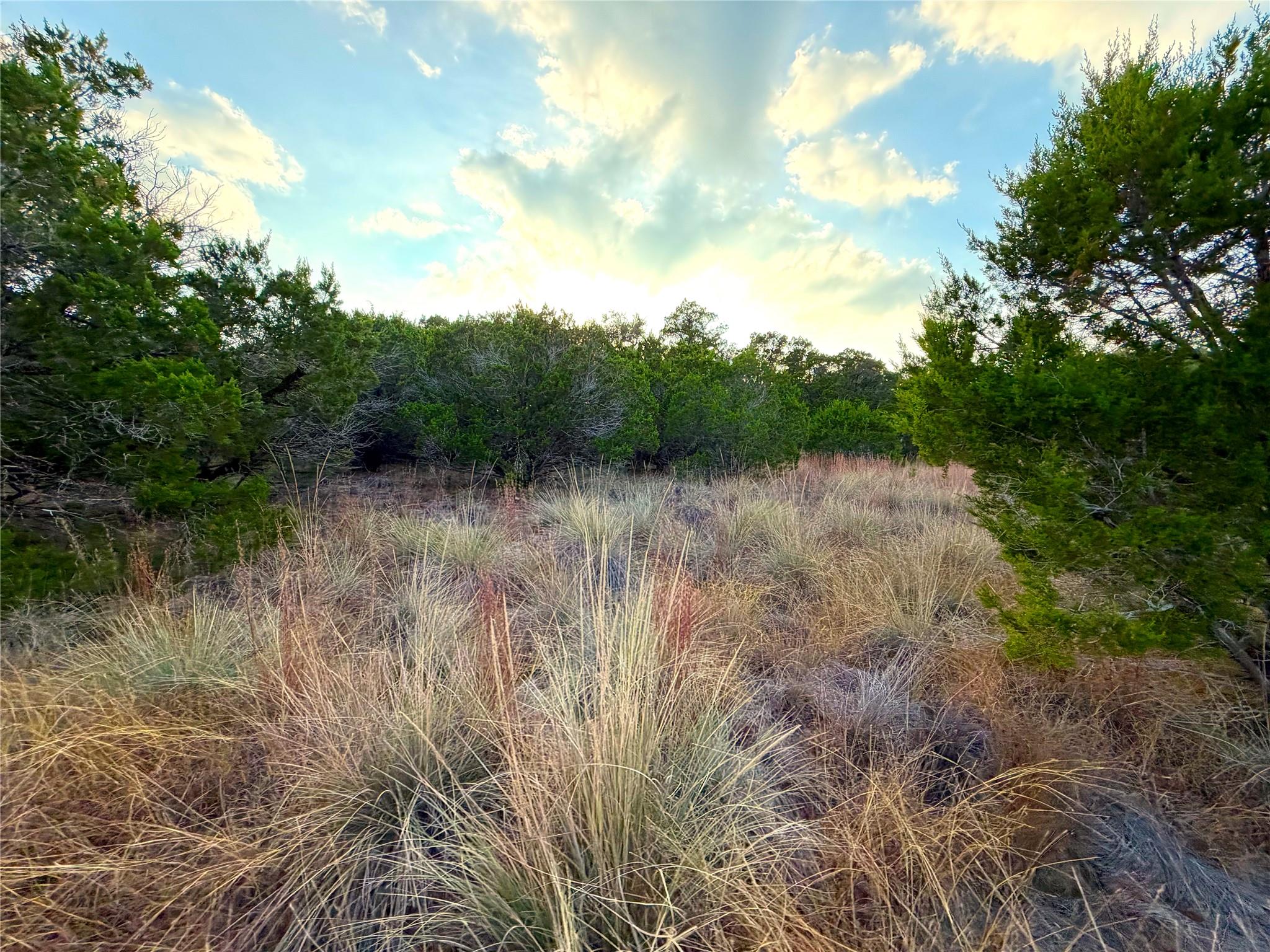 100 acres N Cranes Mill North Rd, Canyon Lake, TX 78133