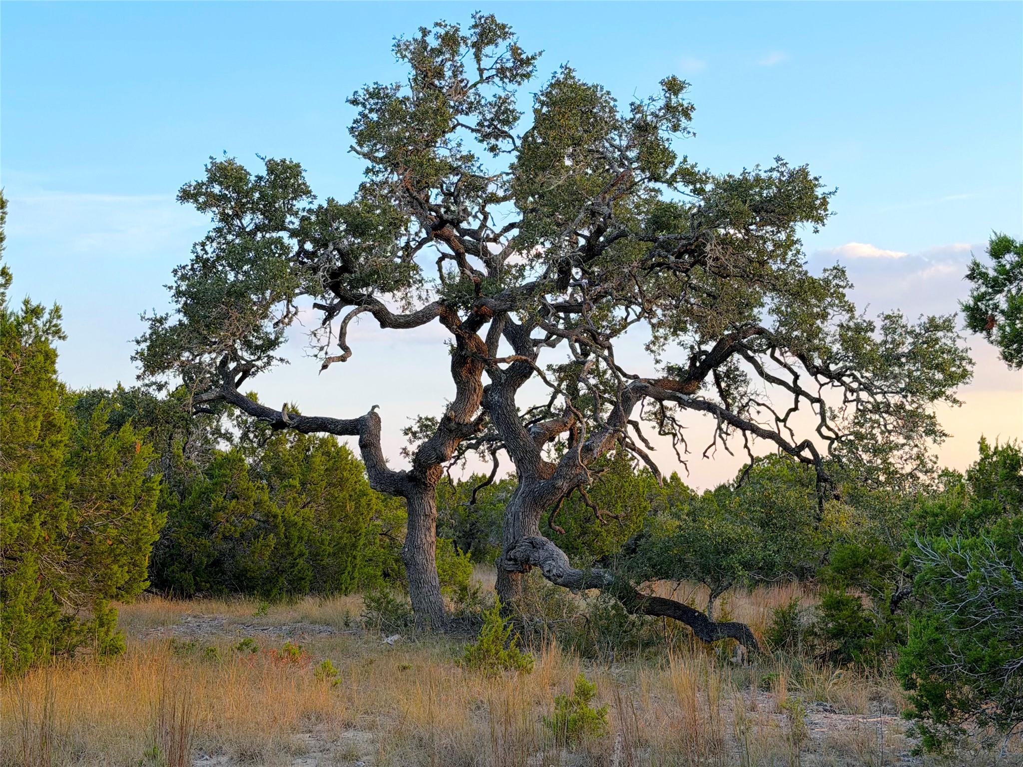 100 acres N Cranes Mill North Rd, Canyon Lake, TX 78133
