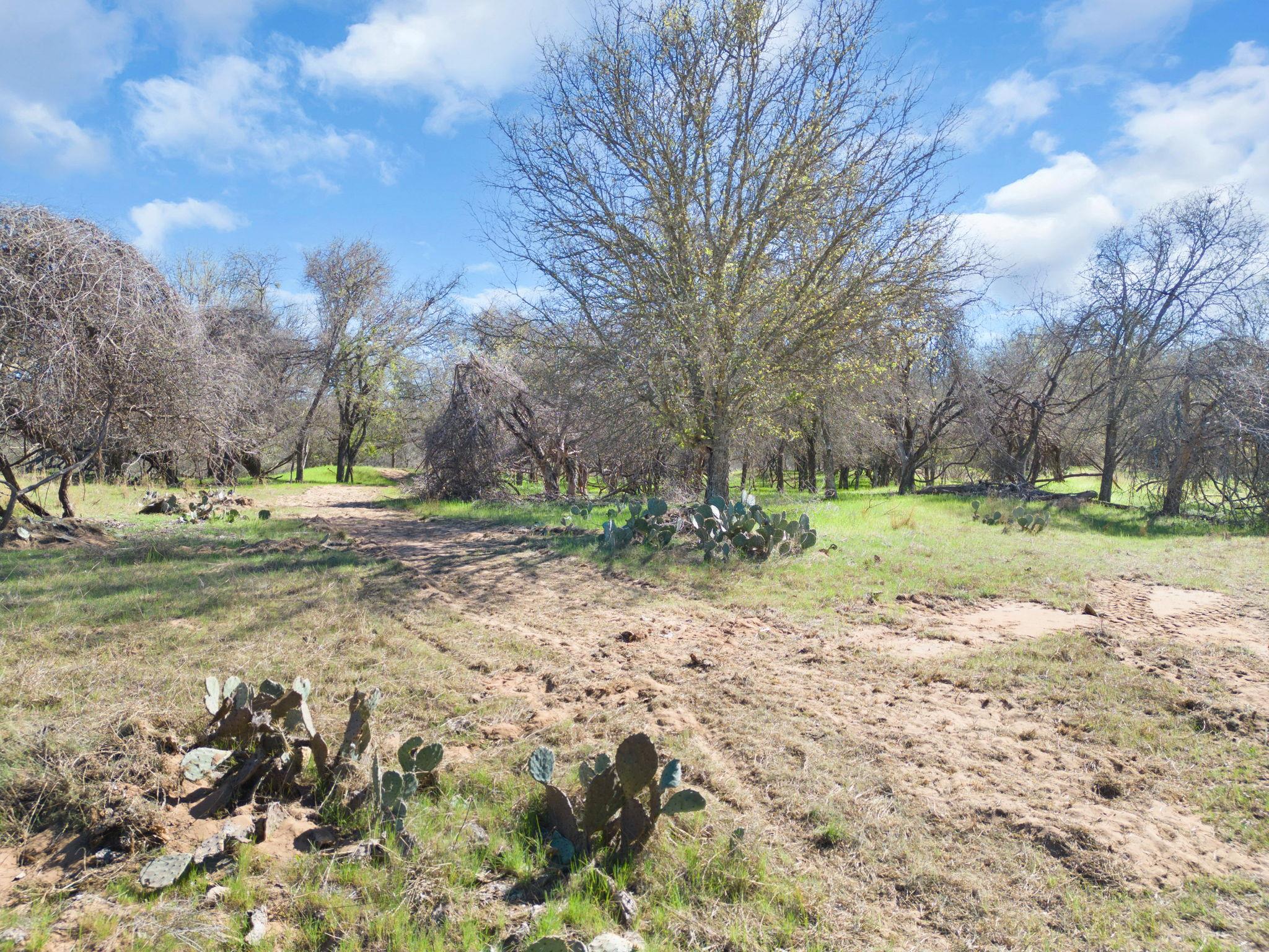 25 Acres Private Road 1789, Bend, TX 76853
