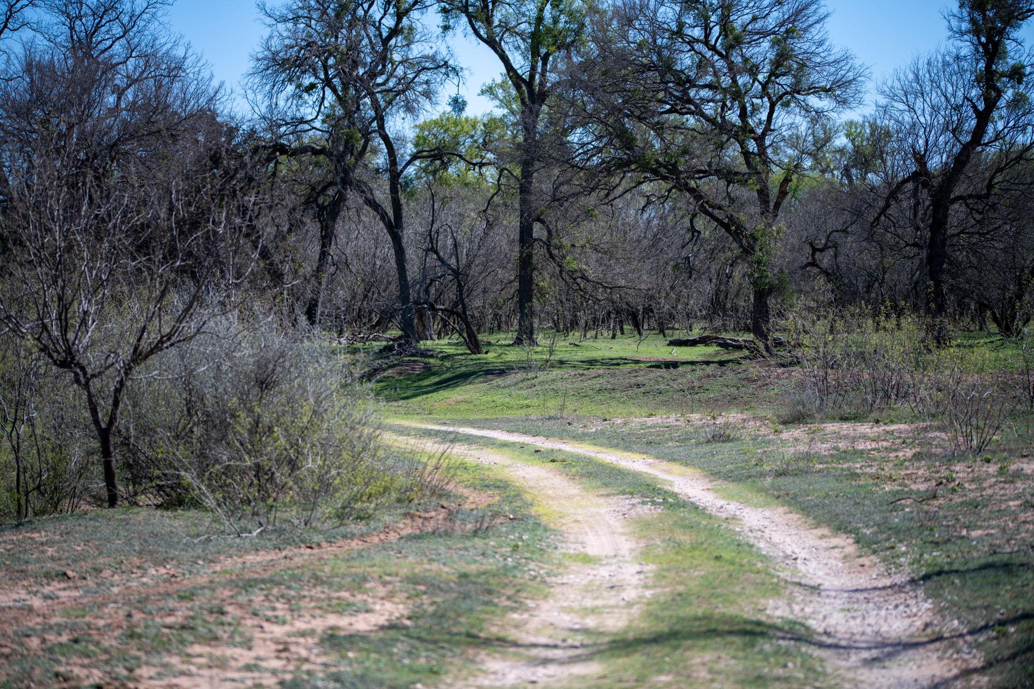 25 Acres Private Road 1789, Bend, TX 76853