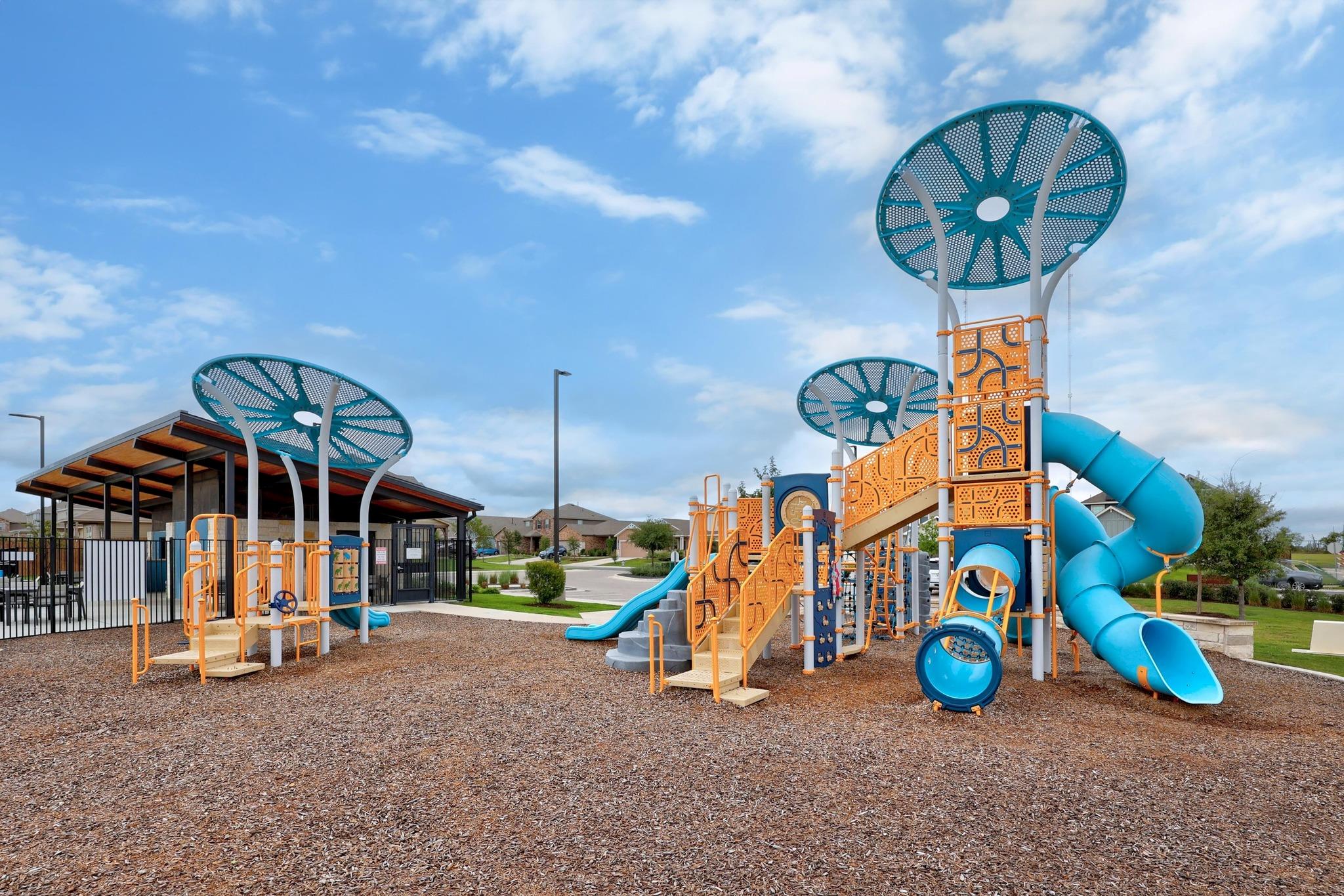 317 Black Alder St, Georgetown, TX 78626