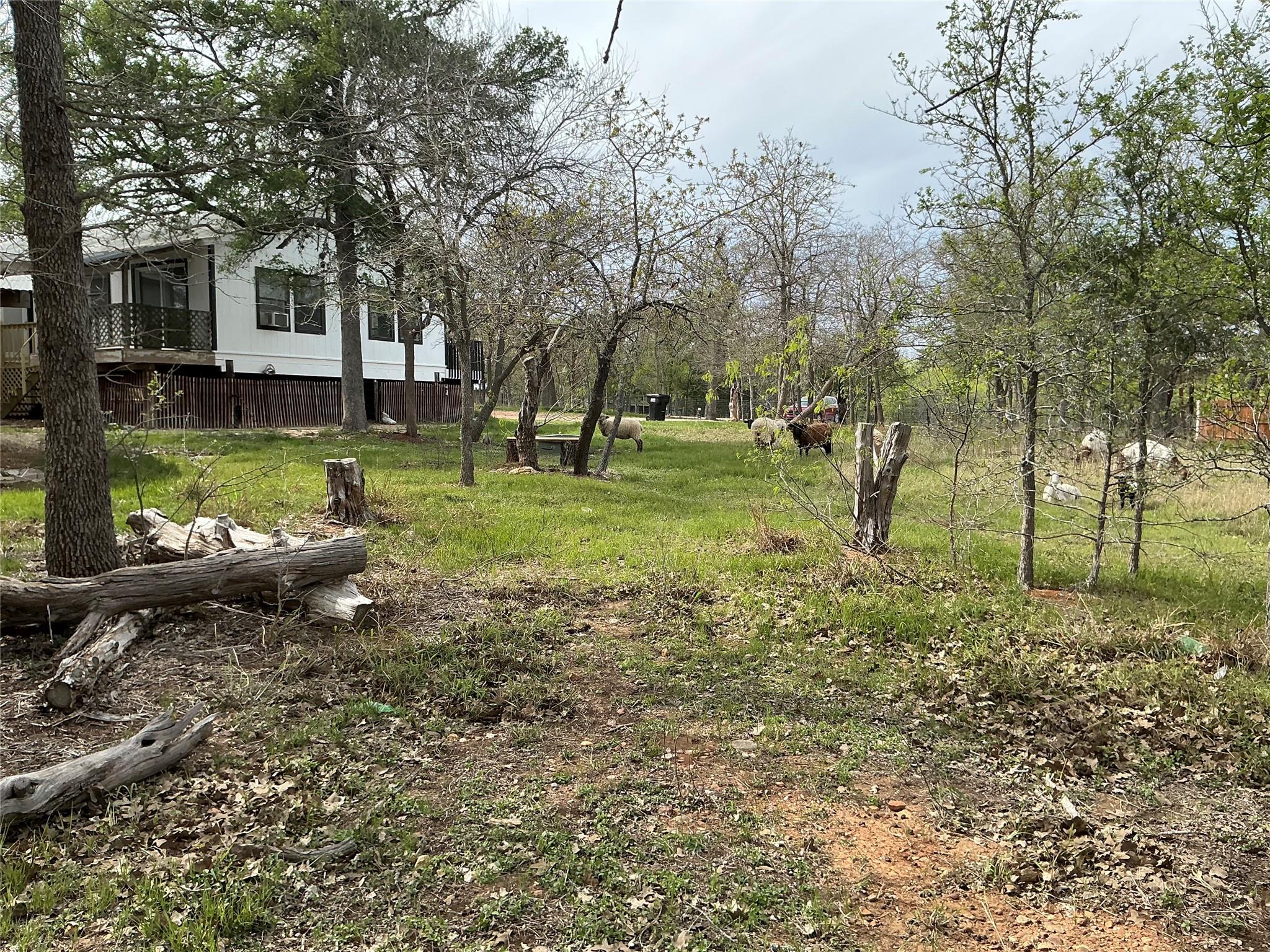 125 Turkey Run, Cedar Creek, TX 78612
