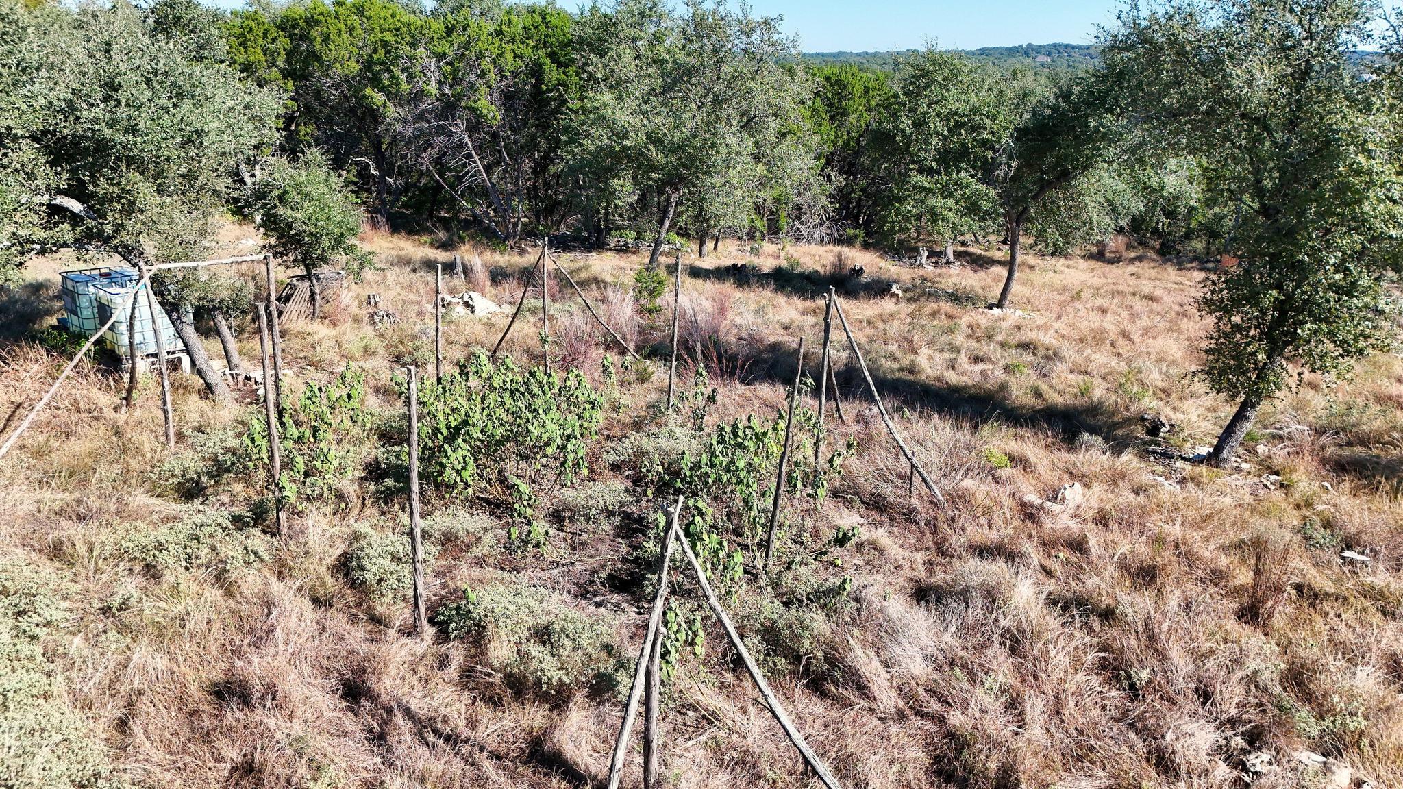 246 Survista Ln, New Braunfels, TX 78132