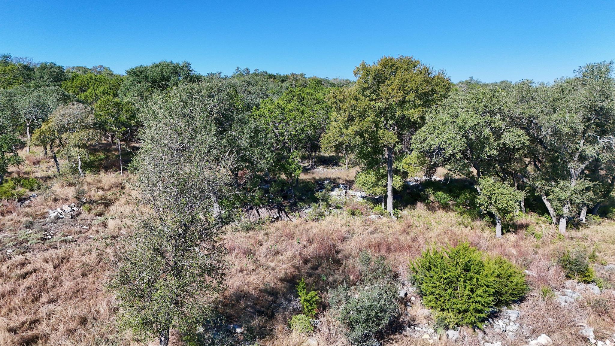 246 Survista Ln, New Braunfels, TX 78132