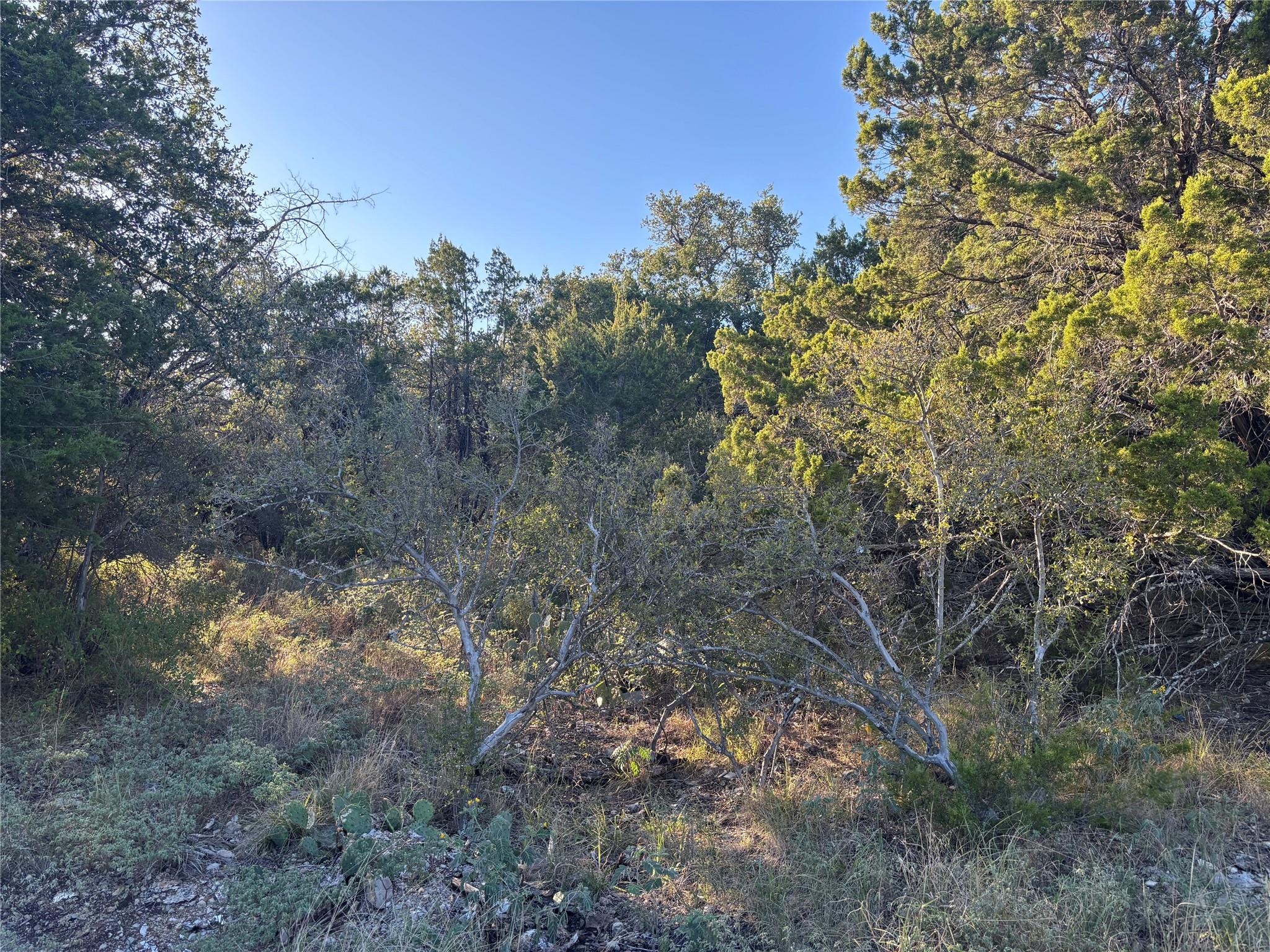 Lot K4106 Coon Ct, Horseshoe Bay, TX 78657