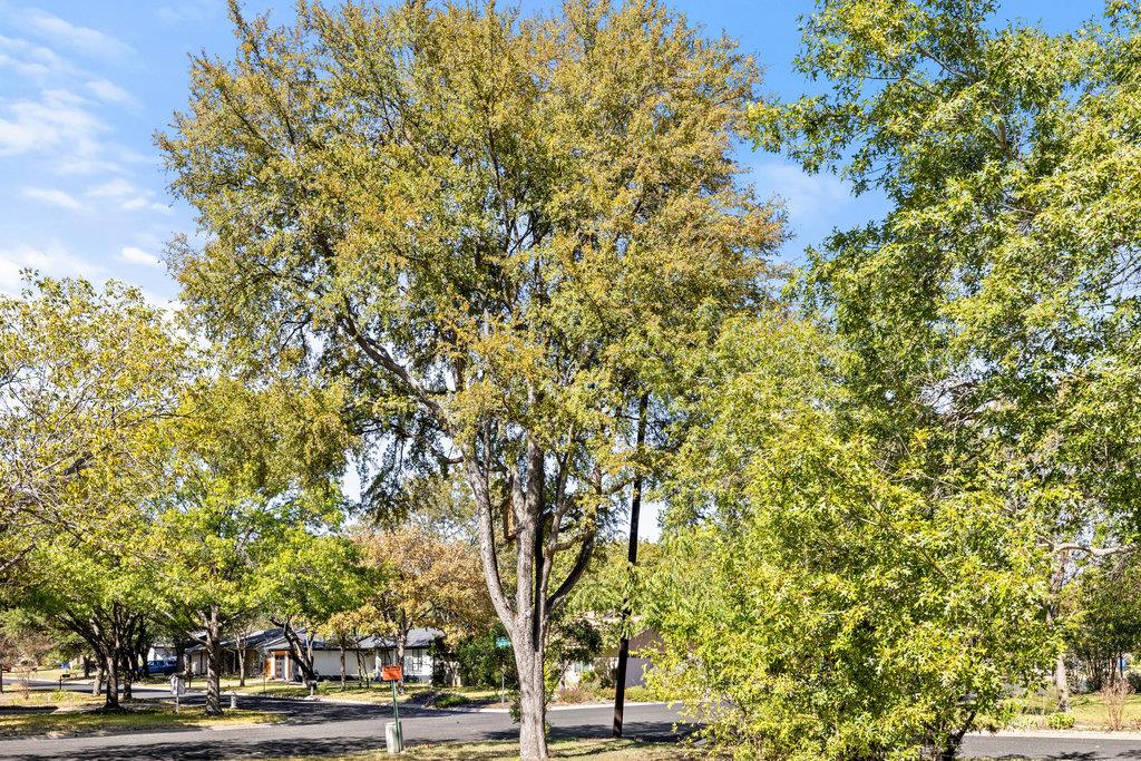 13003 Winwick Way, Austin, TX 78727