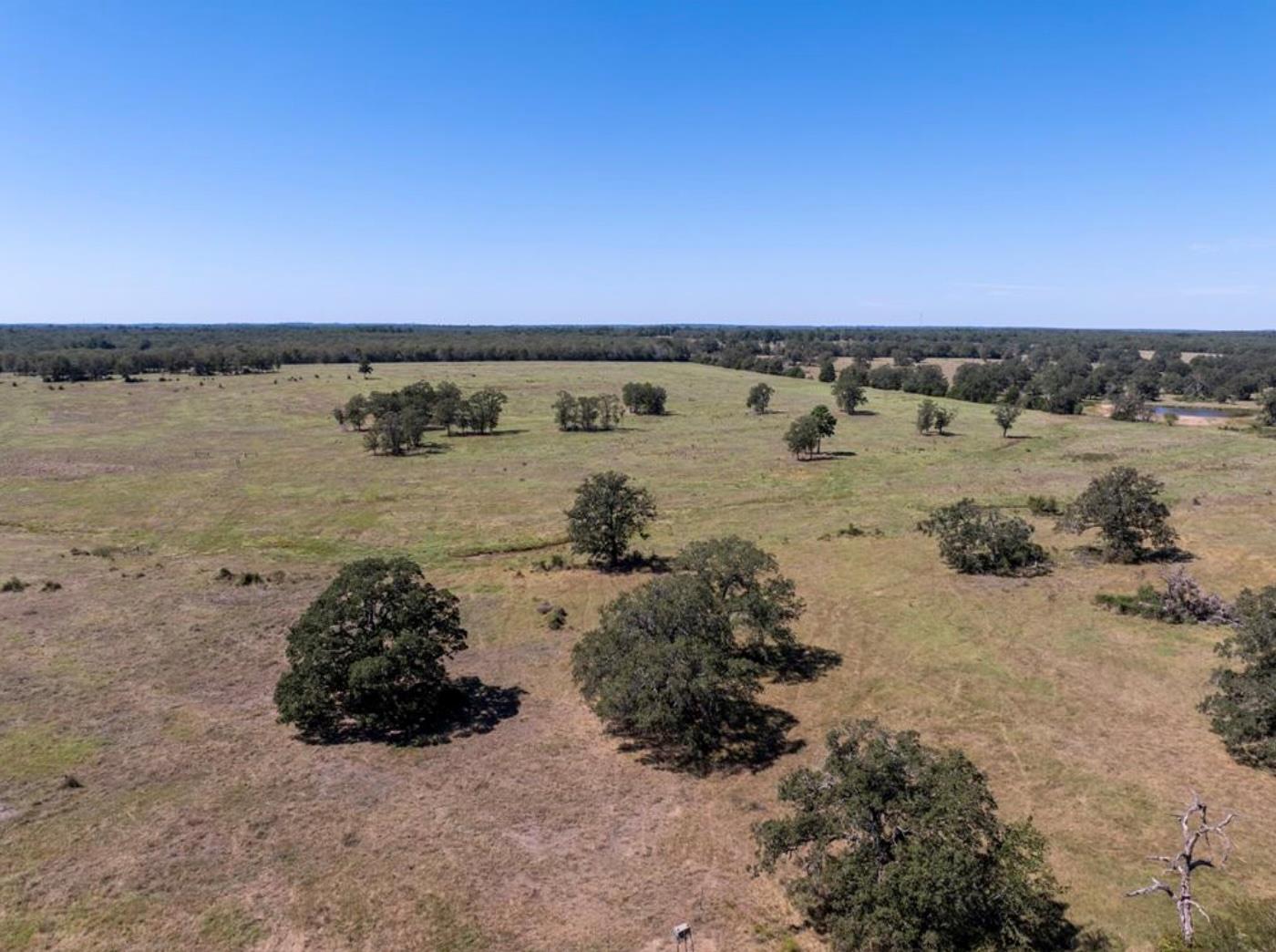1078 Old Pin Oak Rd # Tract 2, Paige, TX 78659