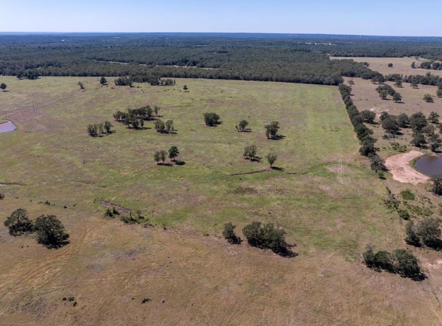 1078 Old Pin Oak Rd # Tract 2, Paige, TX 78659