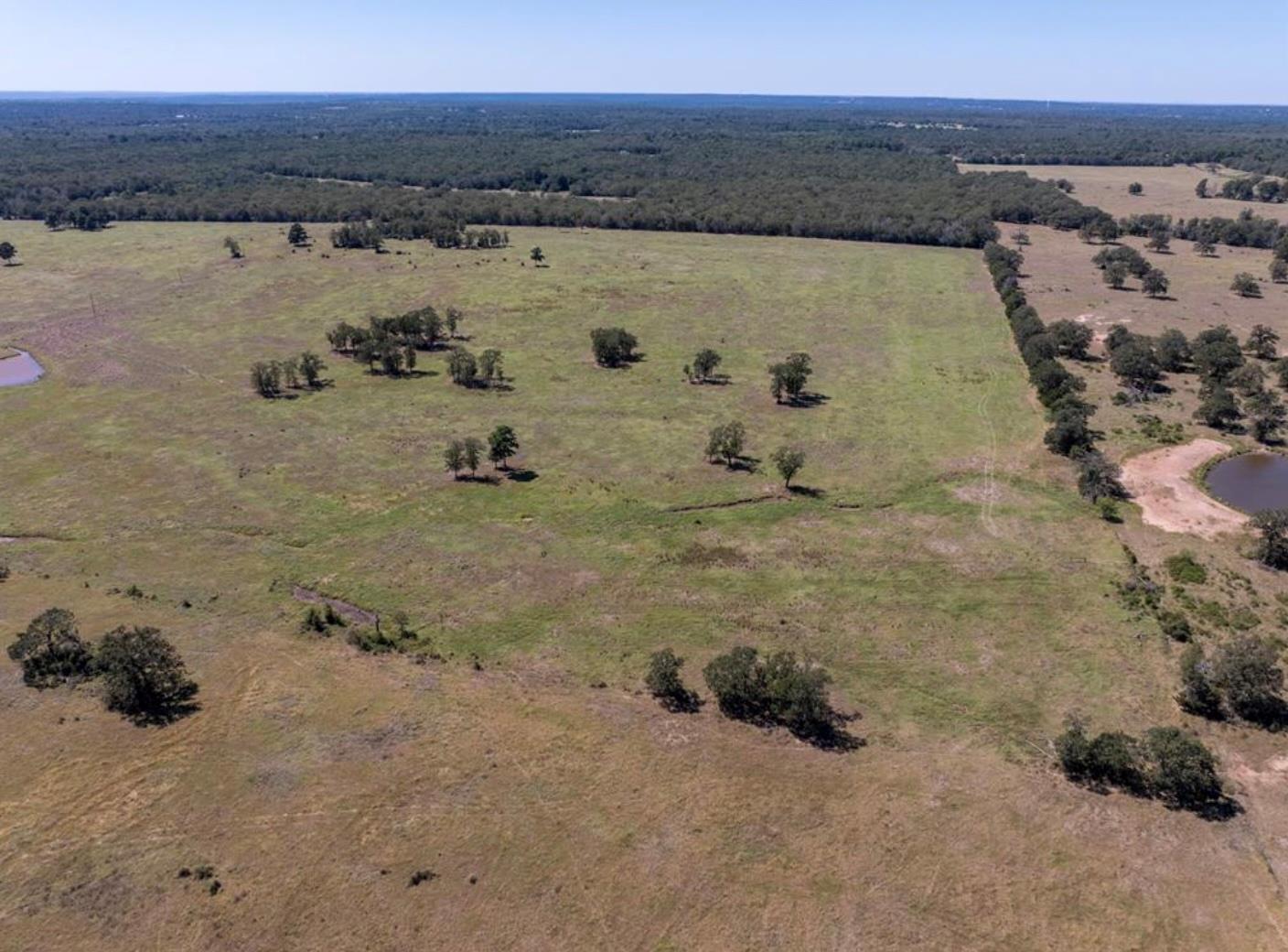 1078 Old Pin Oak Rd # Tract 2, Paige, TX 78659