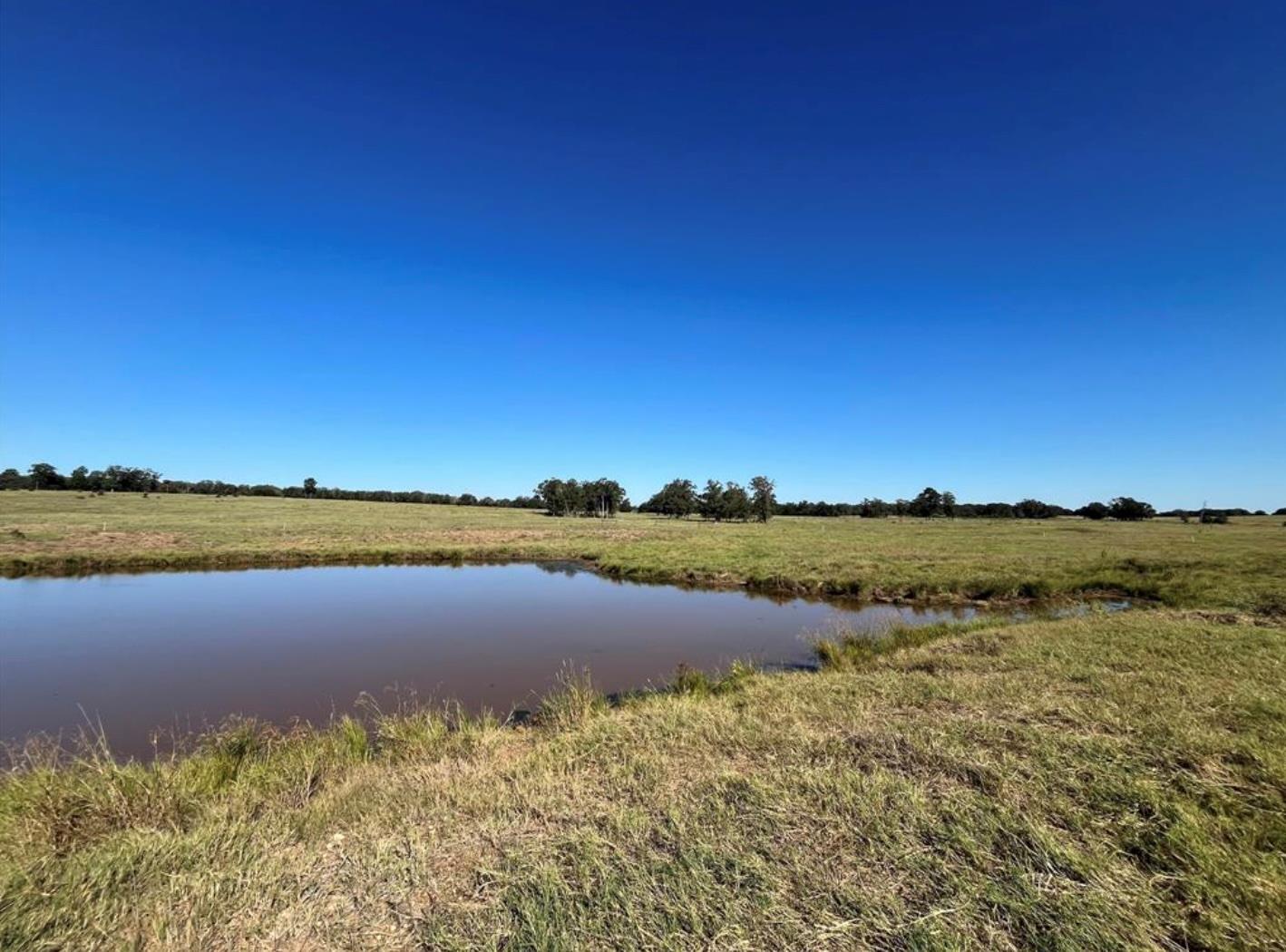 1078 Old Pin Oak Rd # Tract 2, Paige, TX 78659