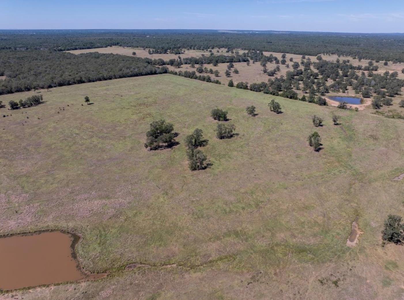 1078 Old Pin Oak Rd # Tract 2, Paige, TX 78659