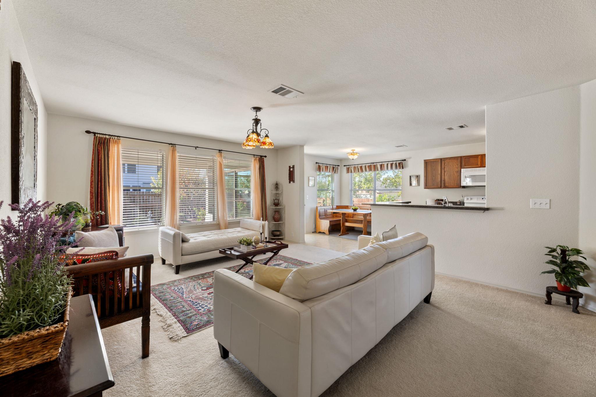 172 Chaparro Dr, Kyle, TX 78640