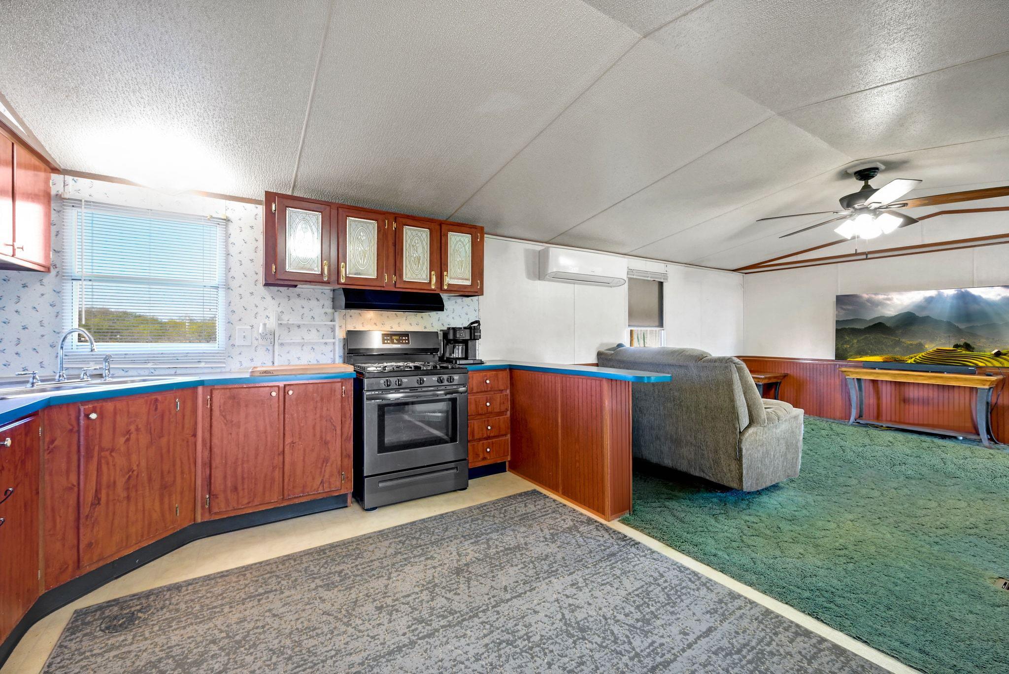 142 Friar Ct, Kyle, TX 78640