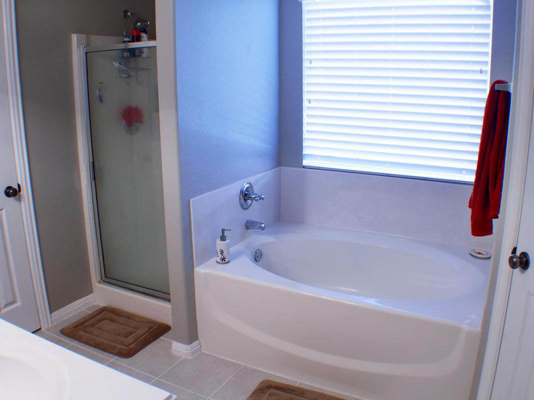 930 Satellite Vw, Round Rock, TX 78665