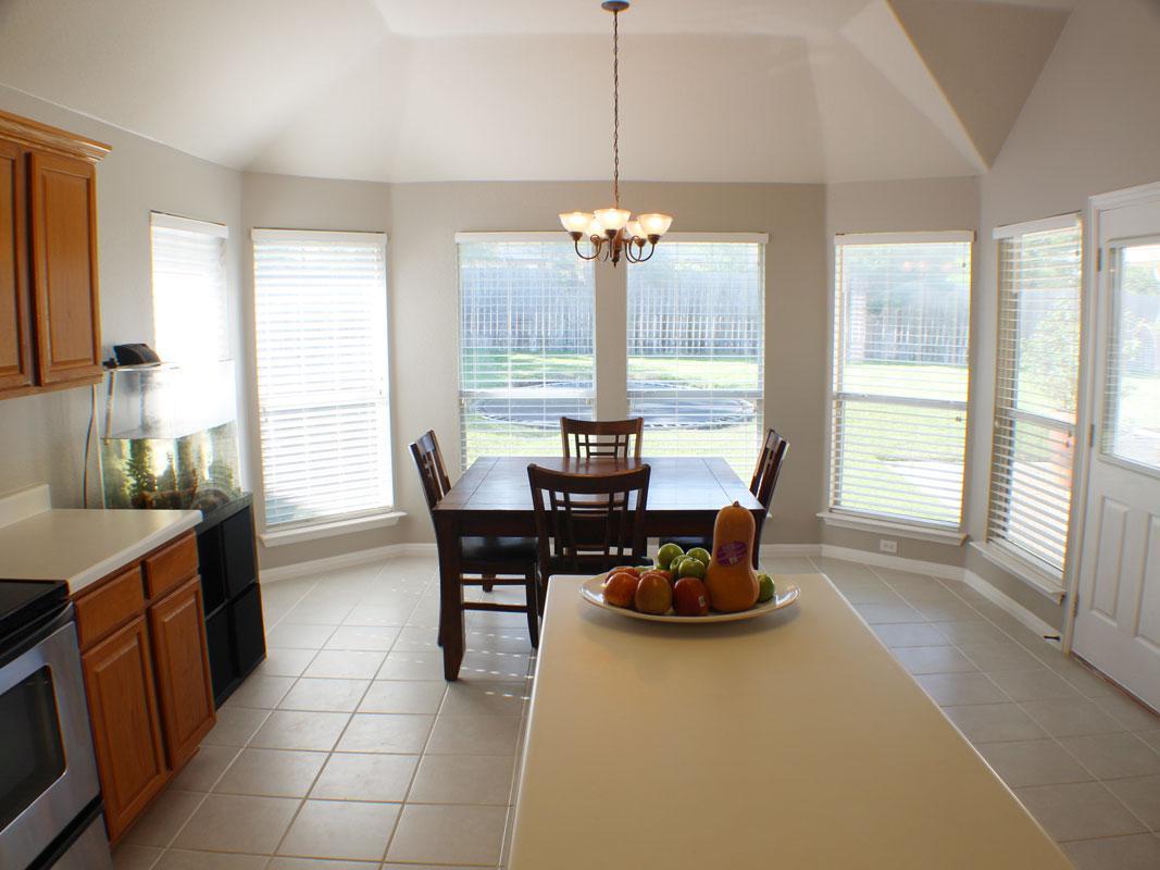 930 Satellite Vw, Round Rock, TX 78665