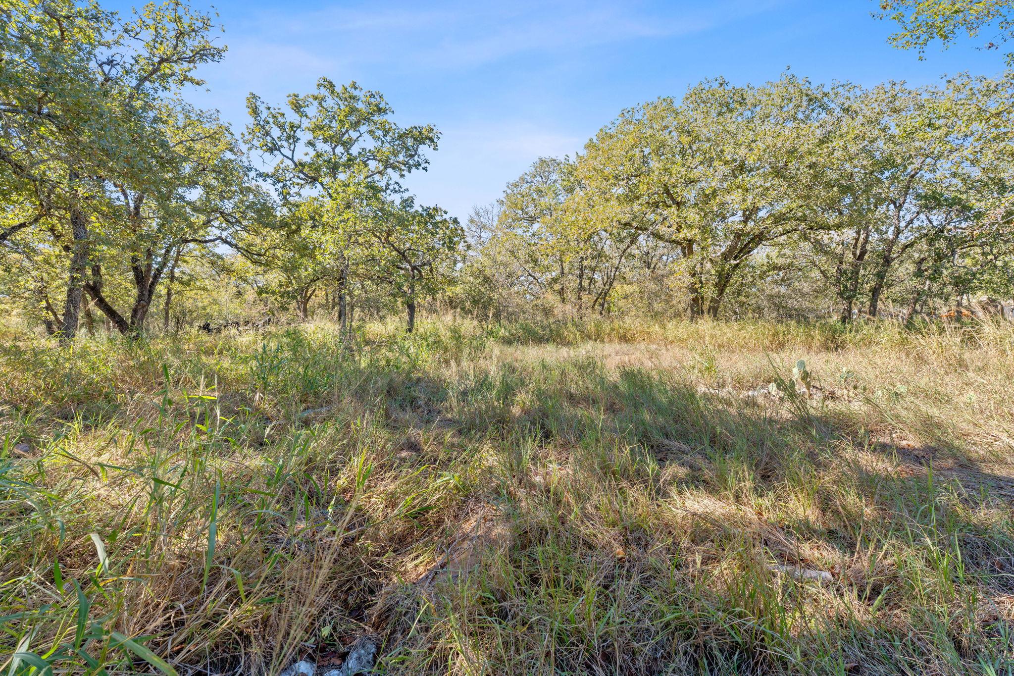 230 Fm 1185, Lockhart, TX 78644