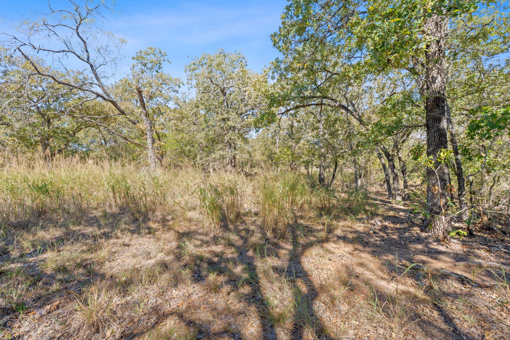 230 Fm 1185, Lockhart, TX 78644