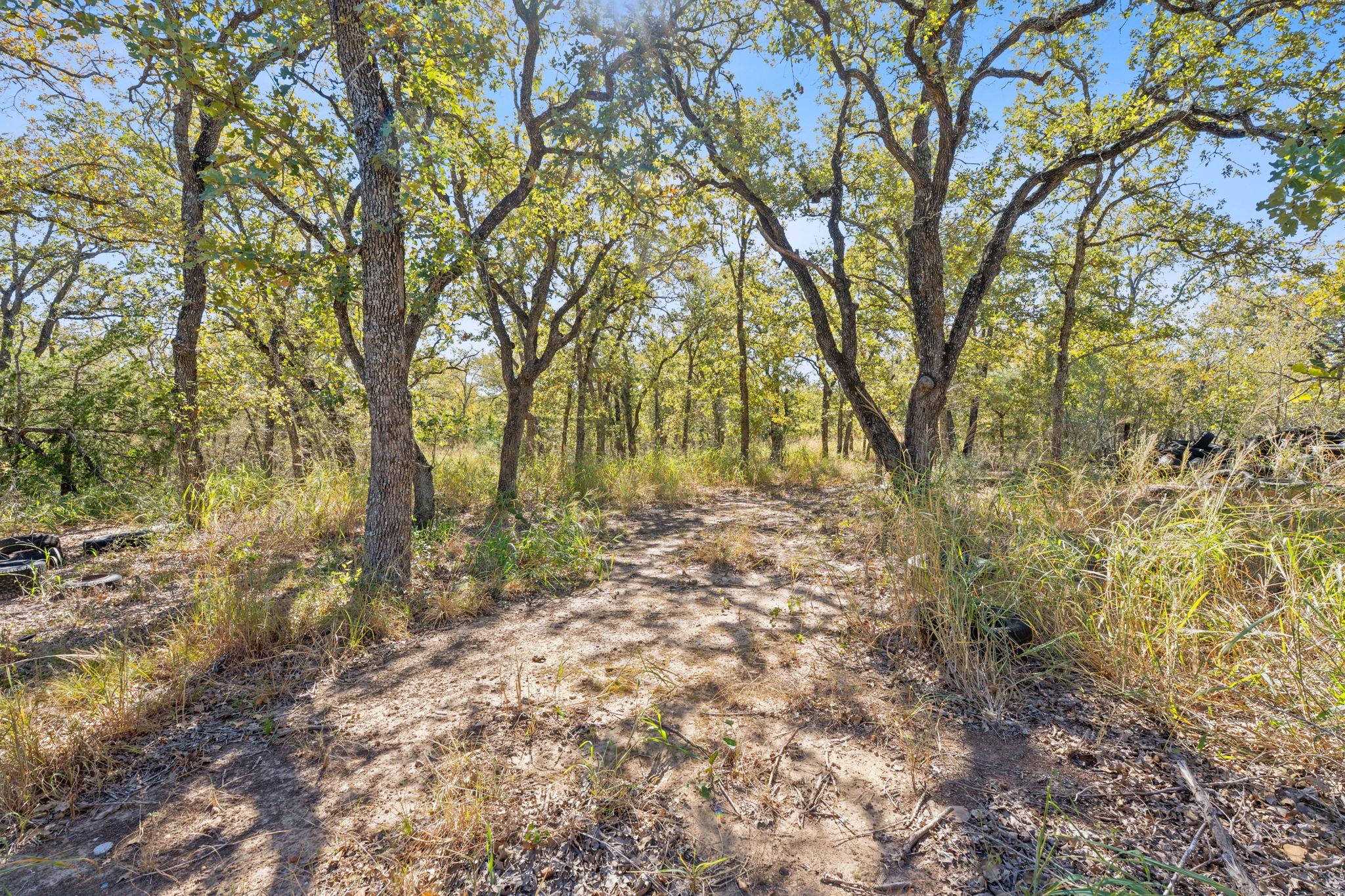 230 Fm 1185, Lockhart, TX 78644