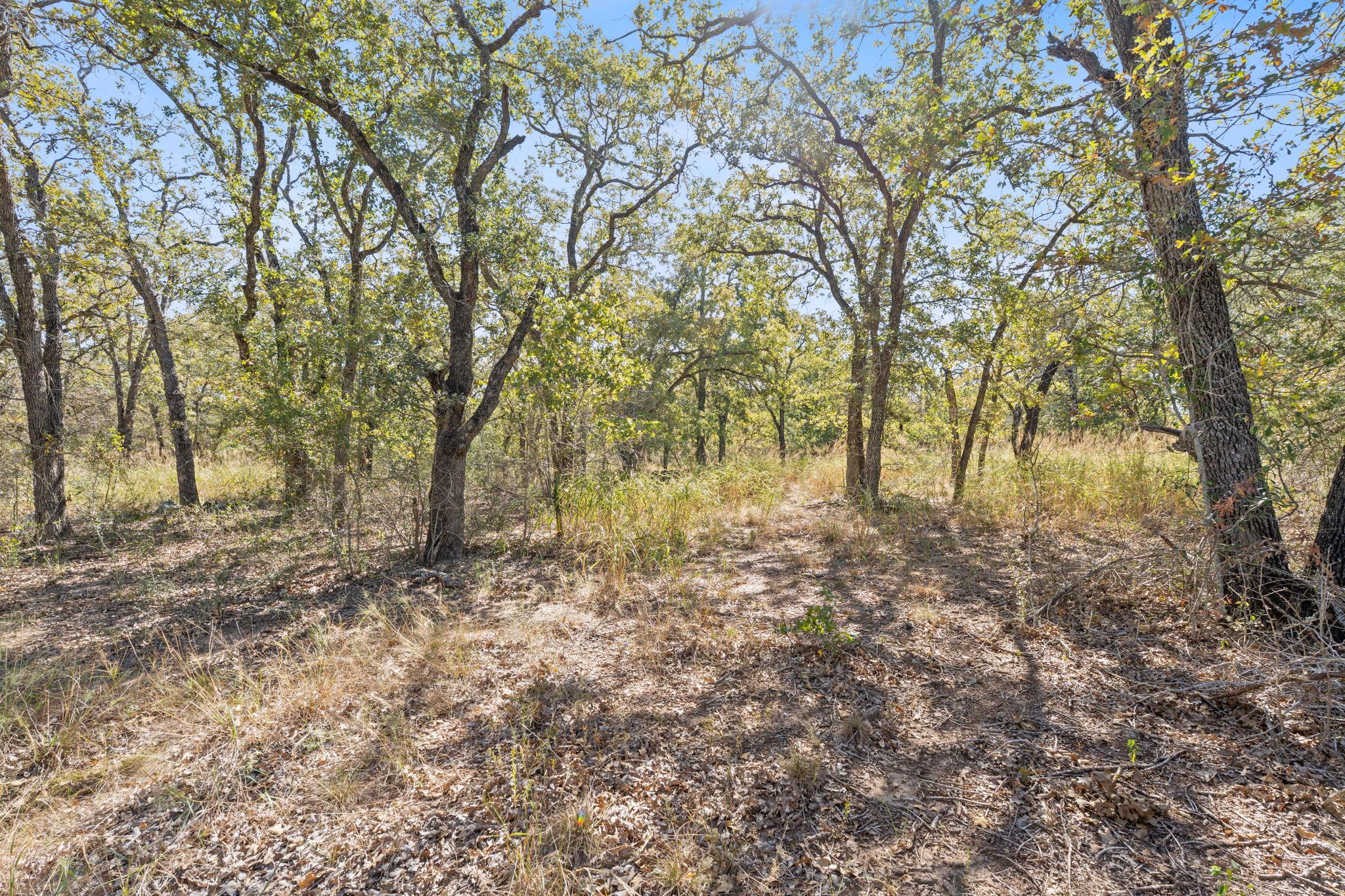 230 Fm 1185, Lockhart, TX 78644