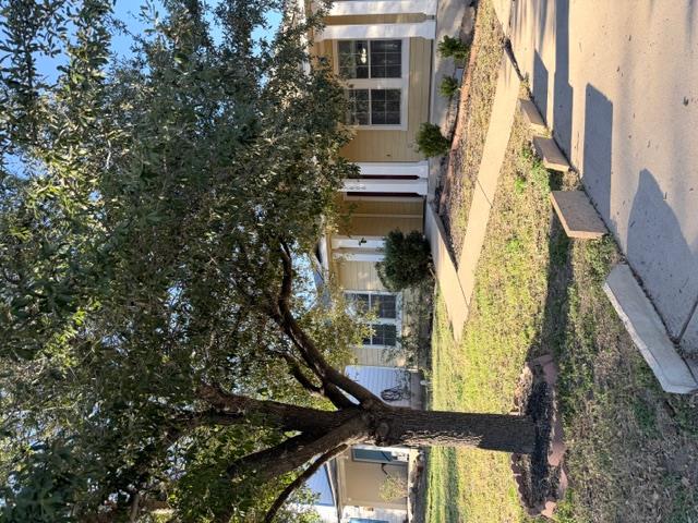 17808 Golden Valley Dr, Manor, TX 78653