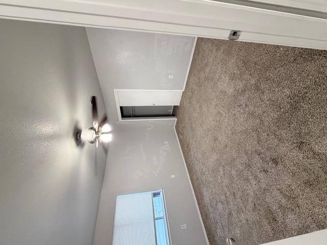 17808 Golden Valley Dr, Manor, TX 78653