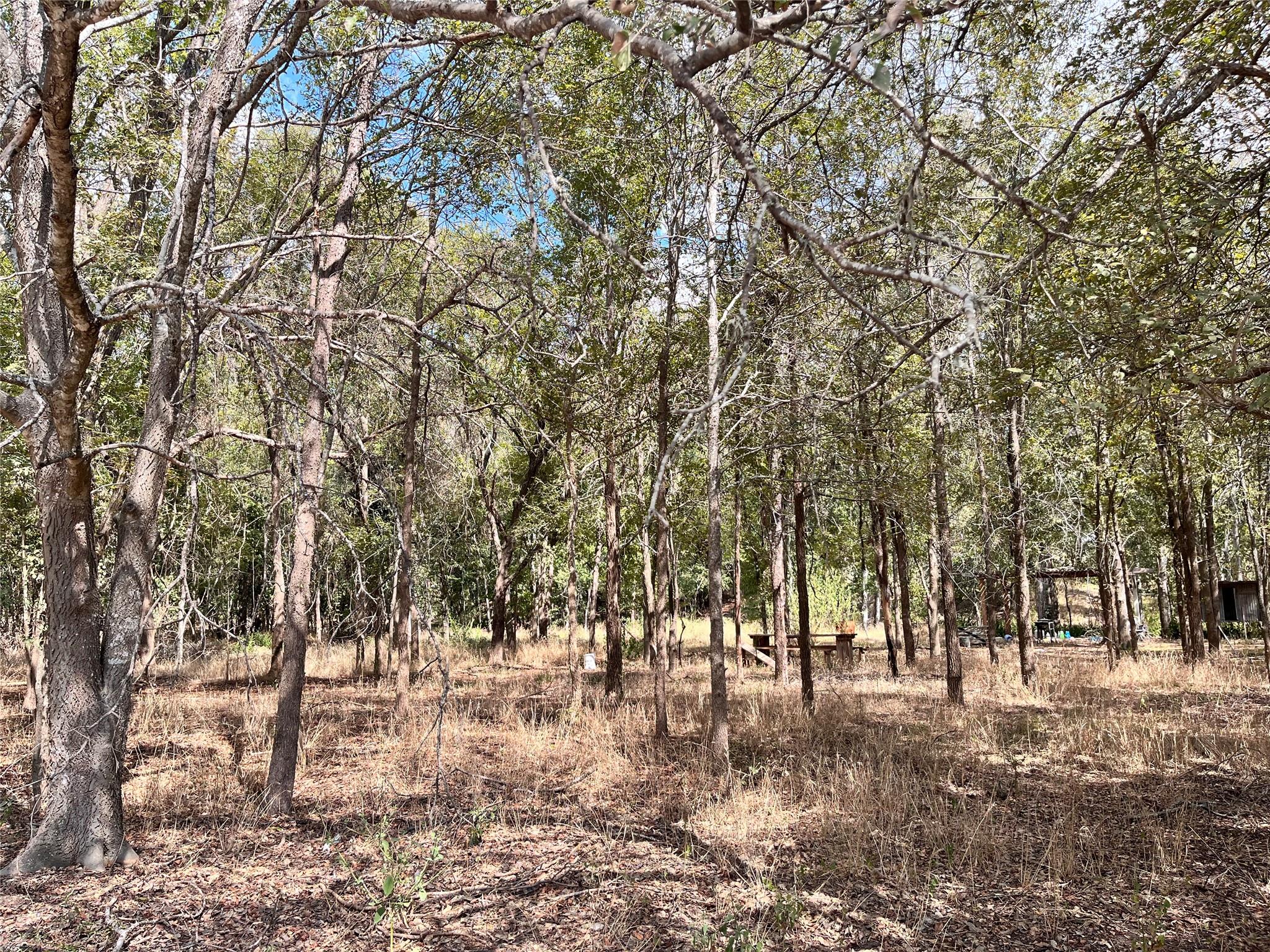 TBD Hidden Shores Loop, Smithville, TX 78957