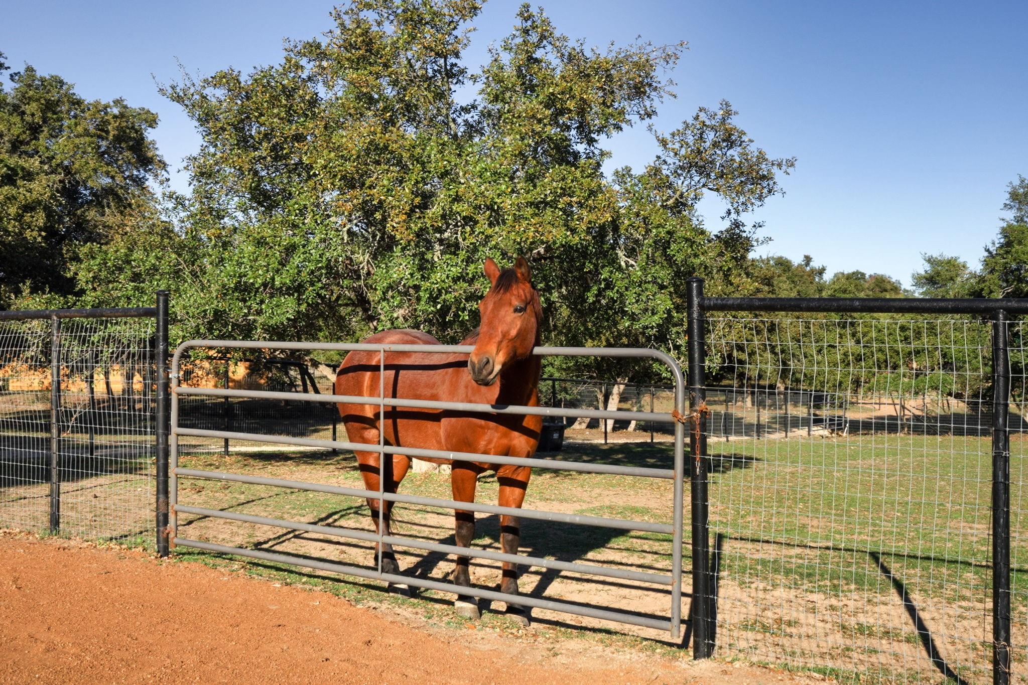 2560 Bell Springs Rd, Dripping Springs, TX 78620