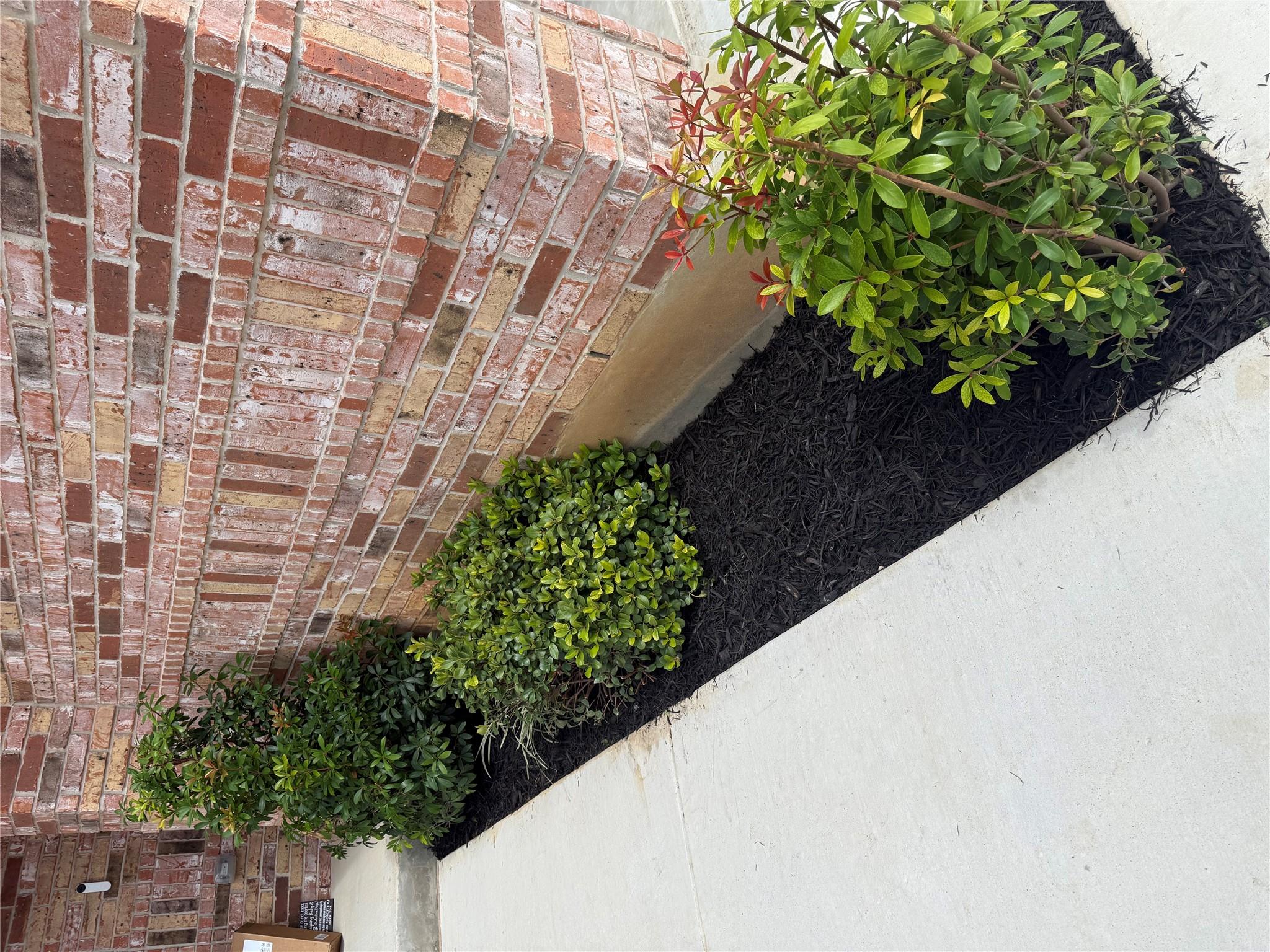 4416 Avellino Dr, Round Rock, TX 78665