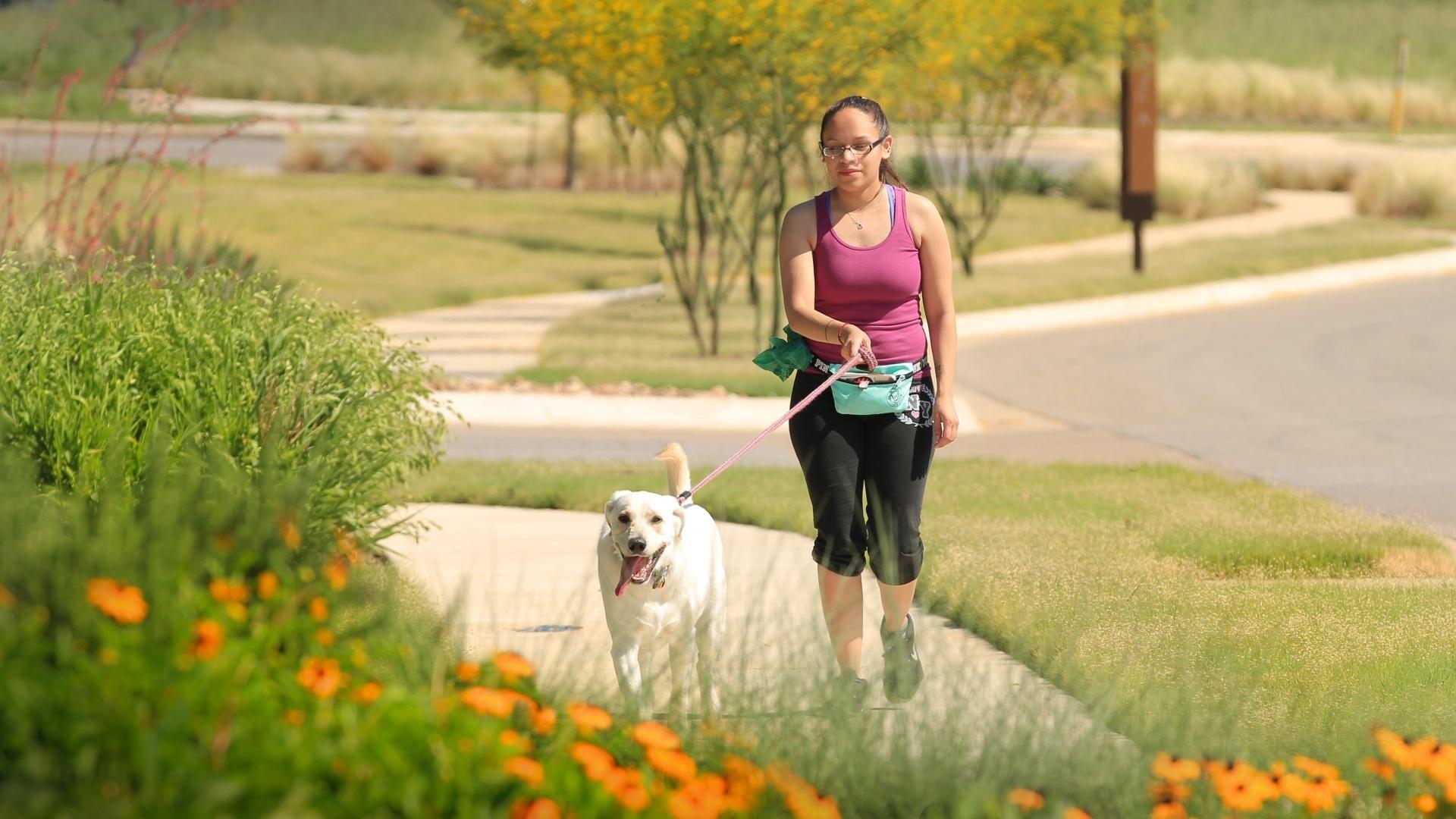 221 Running Fawn, Georgetown, TX 78628