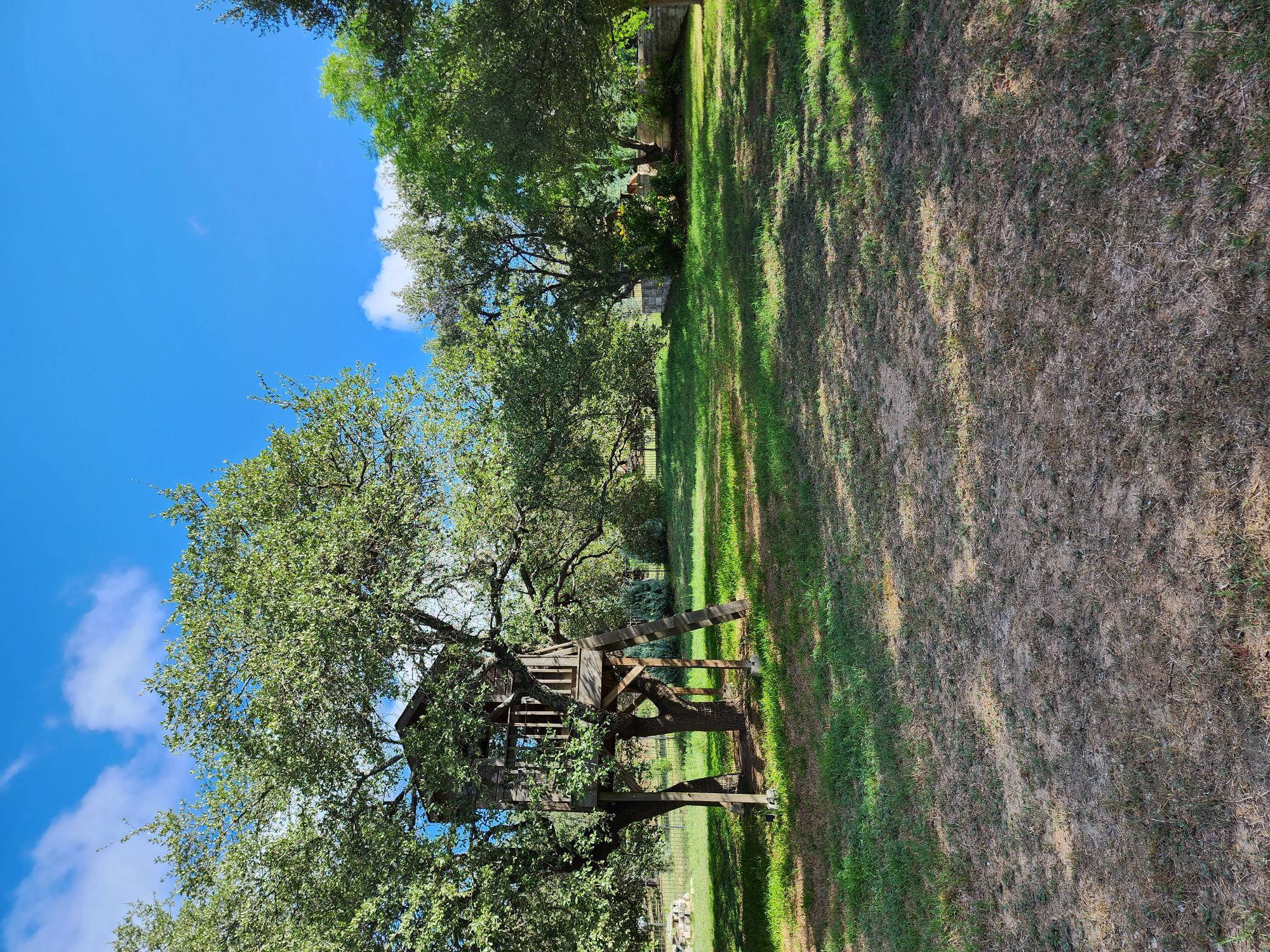 207 Meadows Ln, Dripping Springs, TX 78620