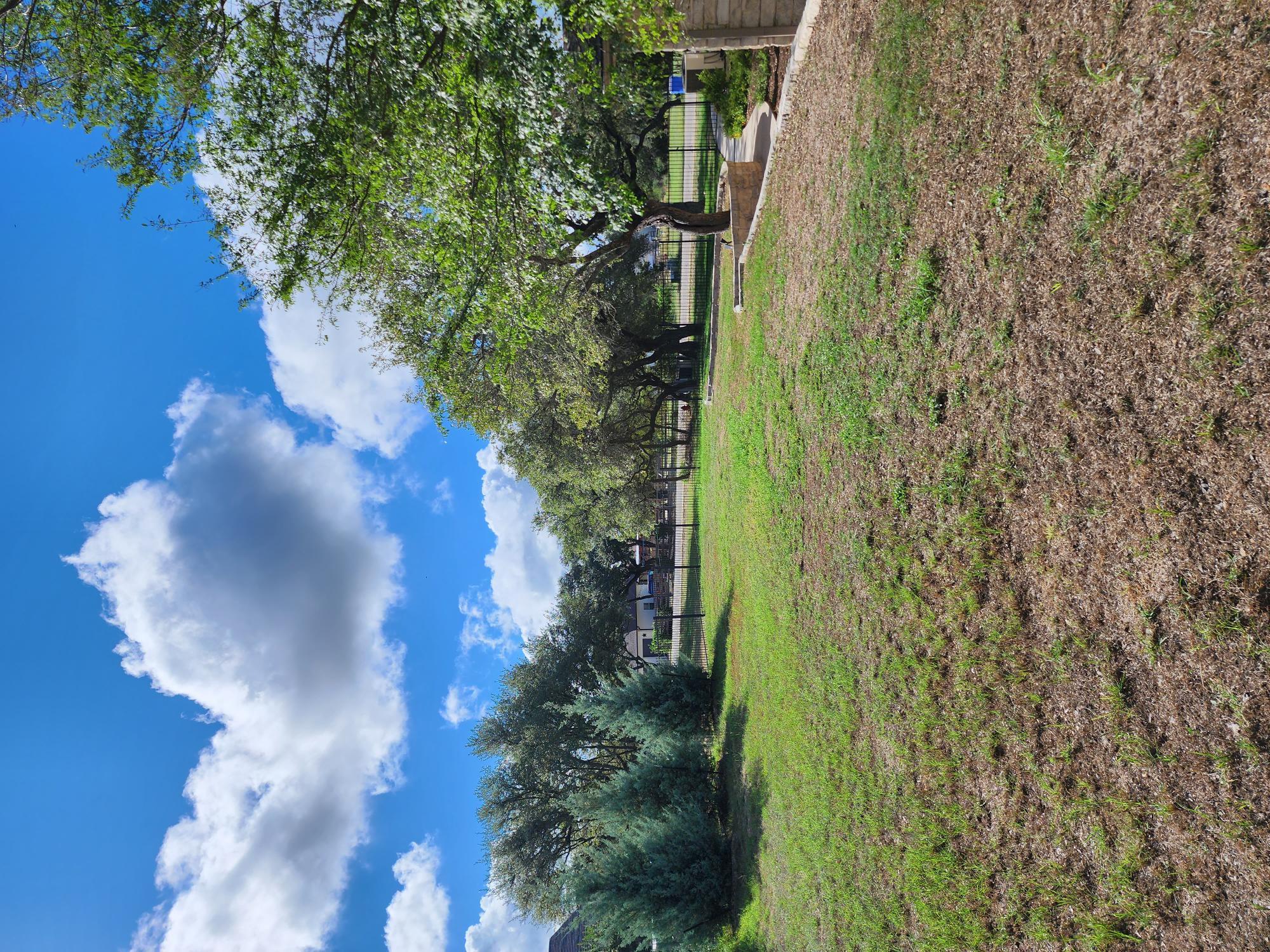 207 Meadows Ln, Dripping Springs, TX 78620