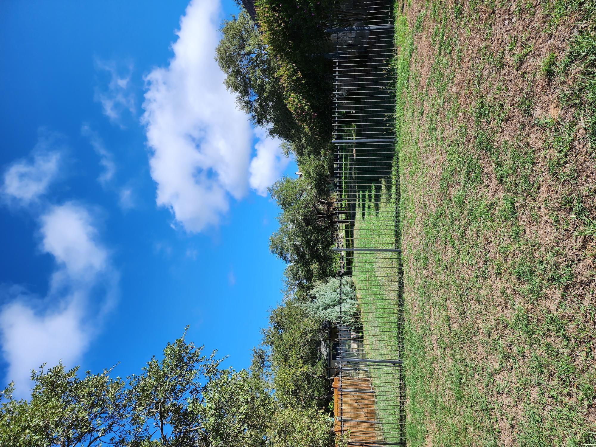 207 Meadows Ln, Dripping Springs, TX 78620