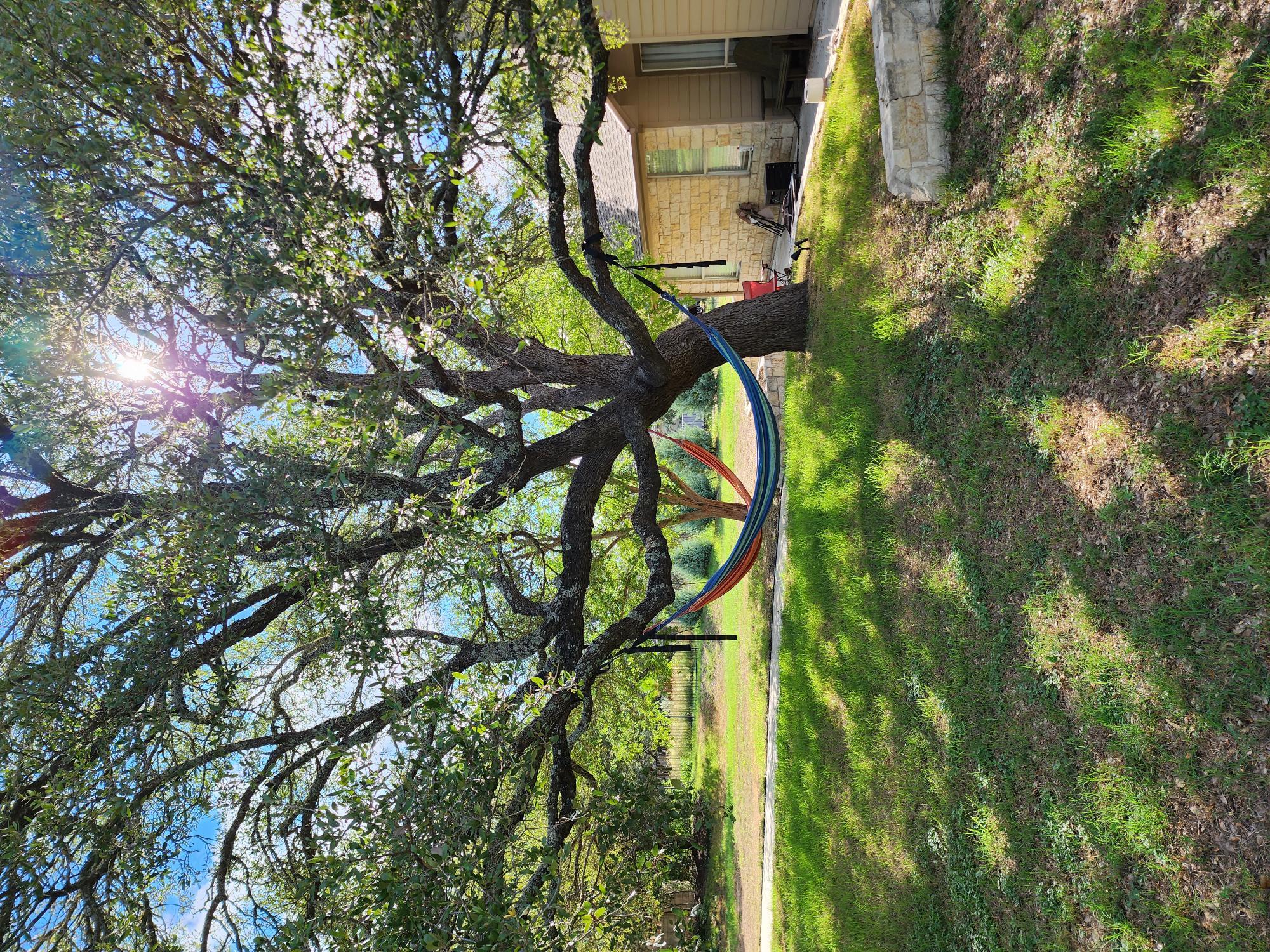 207 Meadows Ln, Dripping Springs, TX 78620