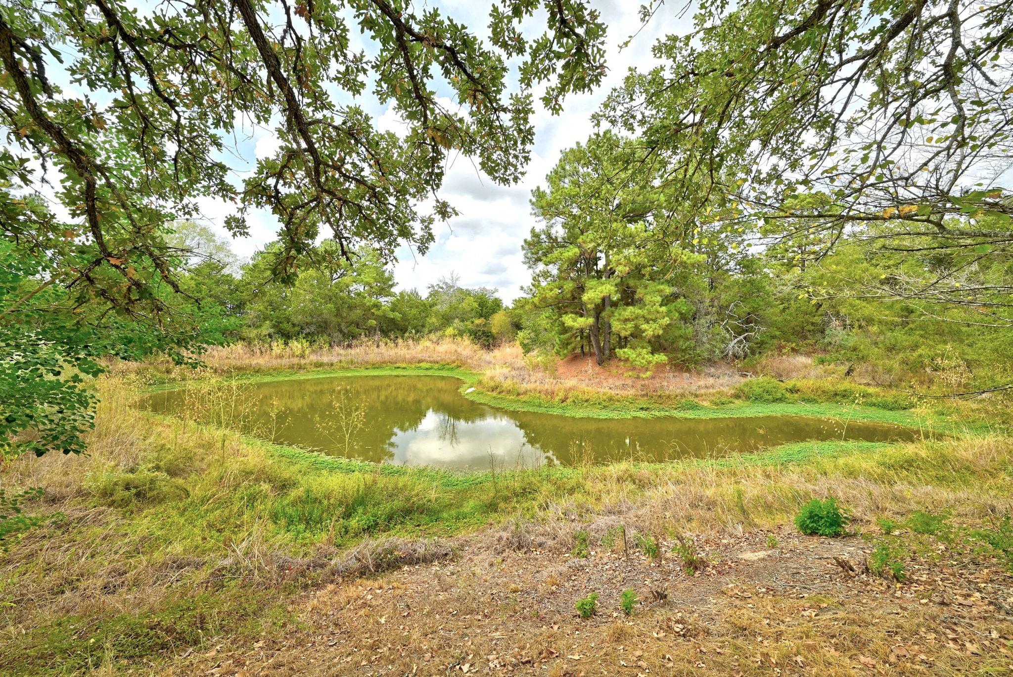 235 Antioch Rd, Paige, TX 78659