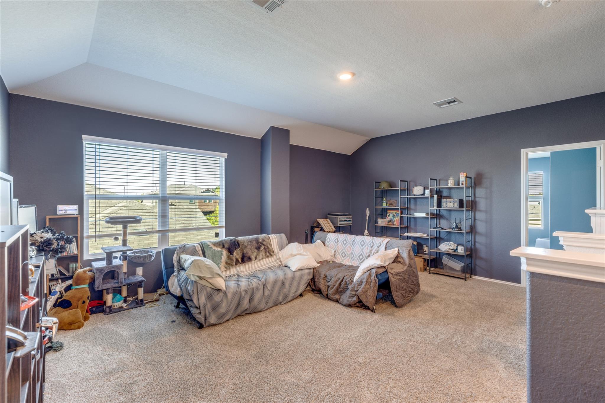 207 Otter Rd, Kyle, TX 78640