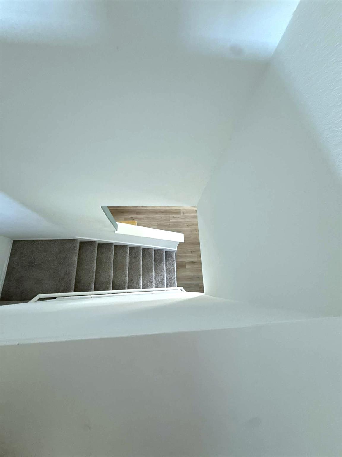 207 Otter Rd, Kyle, TX 78640