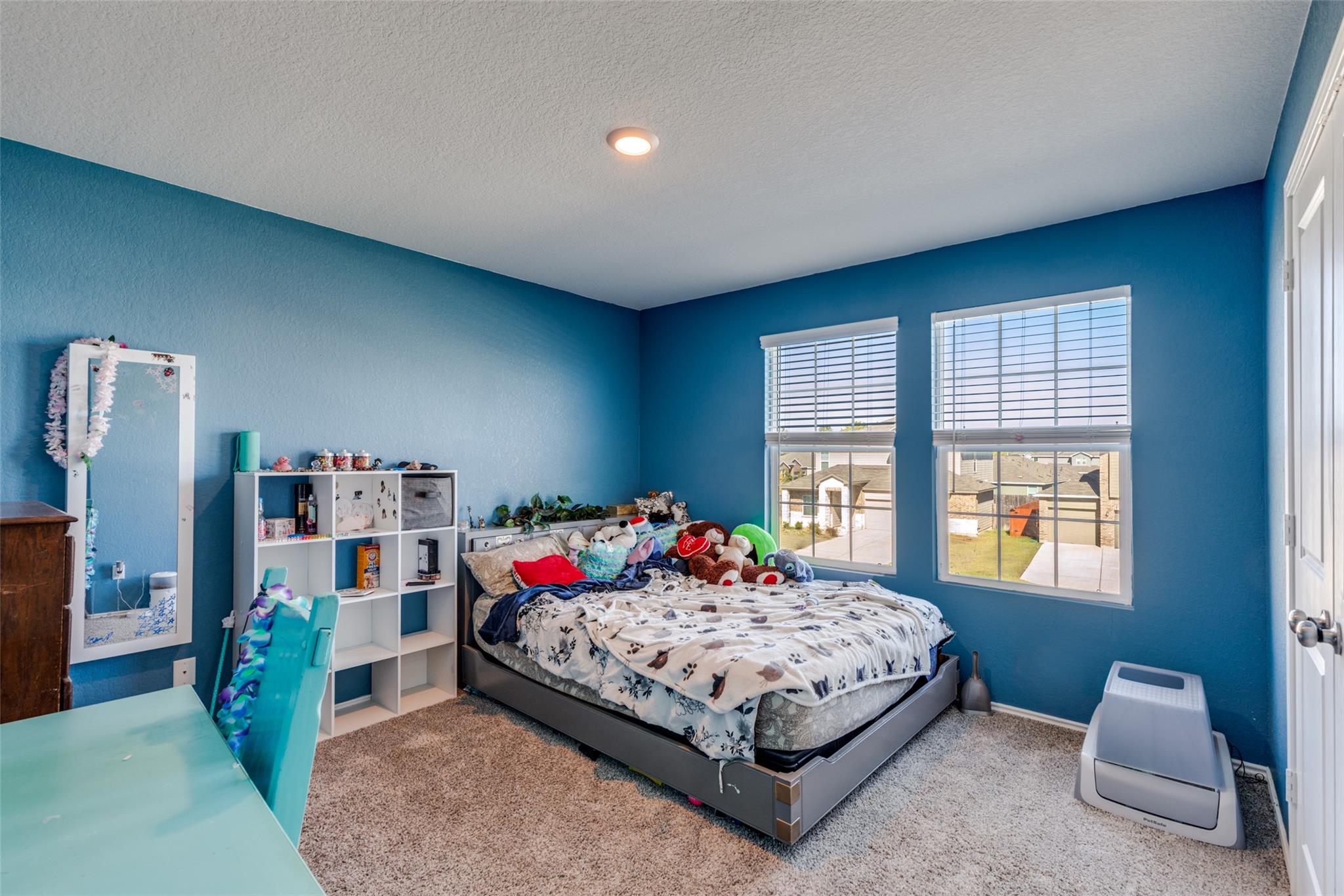 207 Otter Rd, Kyle, TX 78640