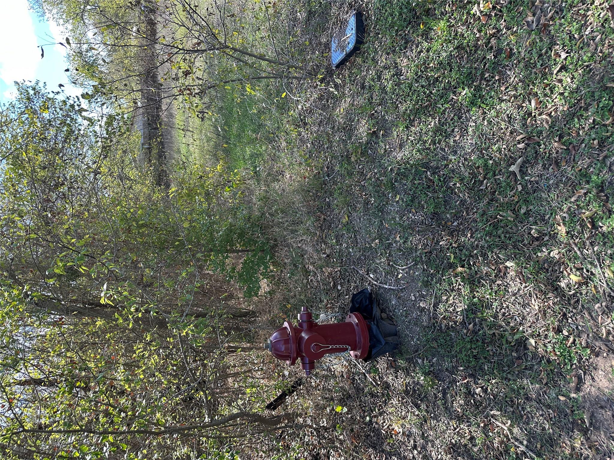 709 Locust St, Bastrop, TX 78602