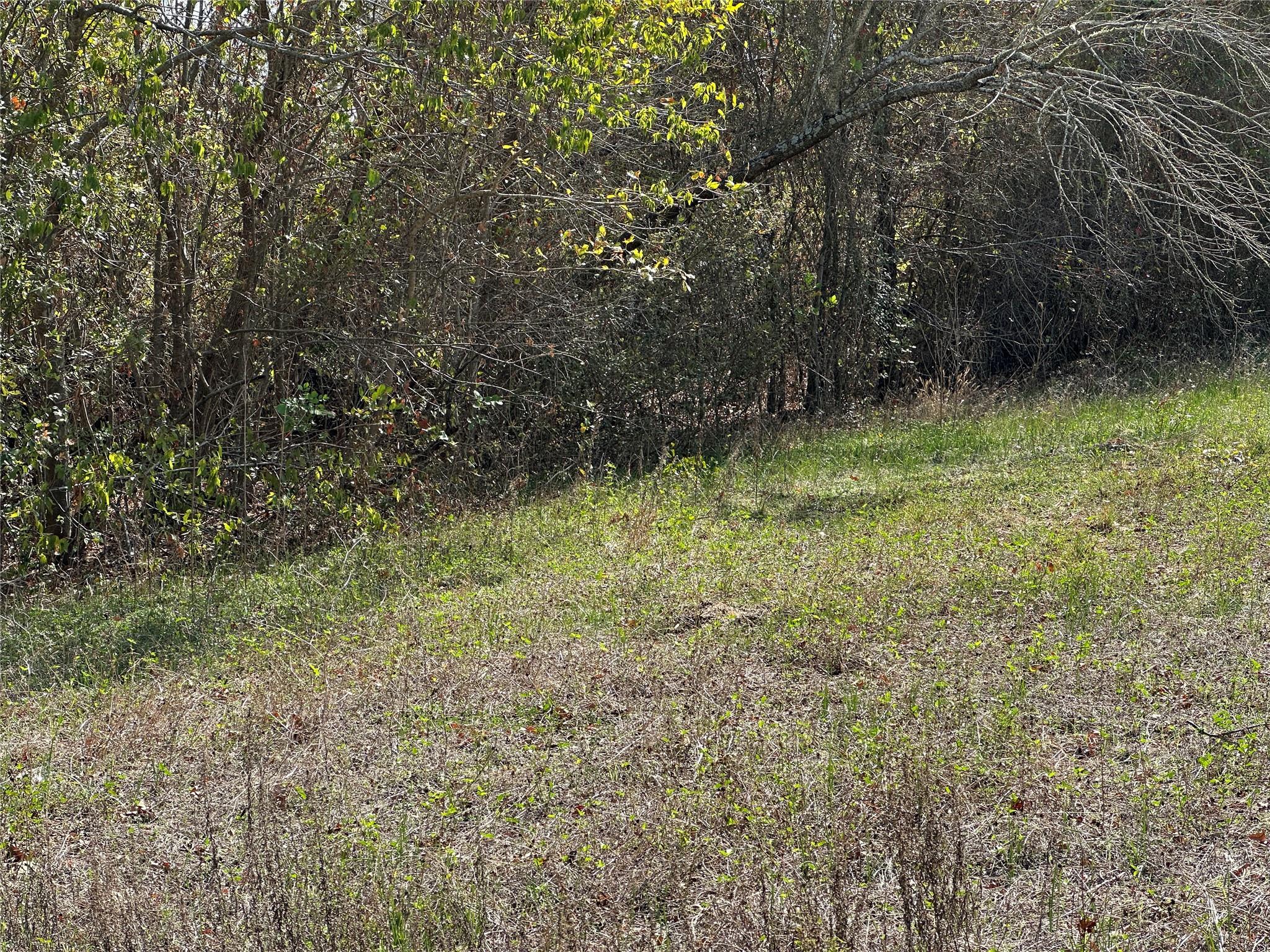 709 Locust St, Bastrop, TX 78602